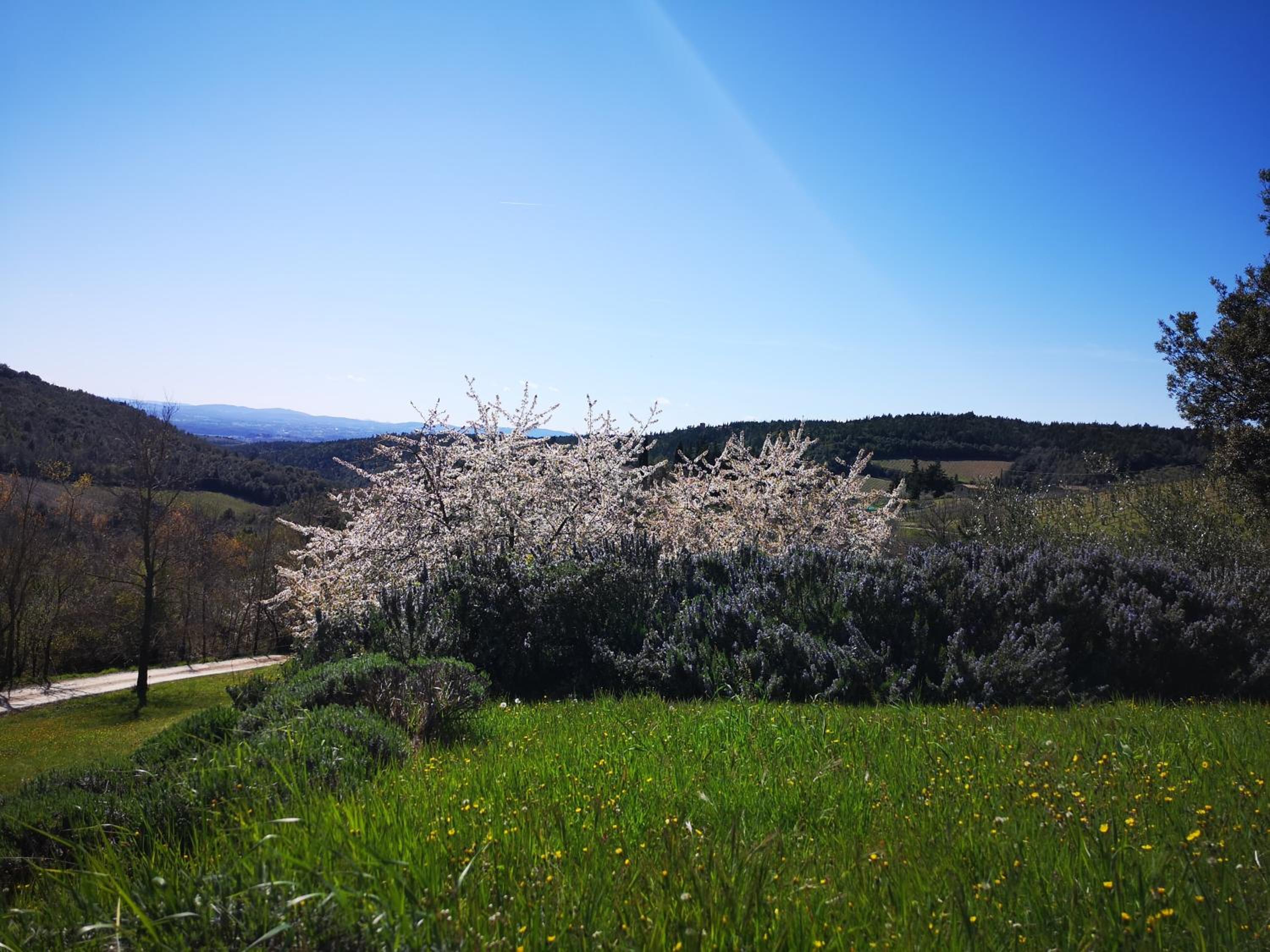Agriturismo capanna delle Cozzole view 5