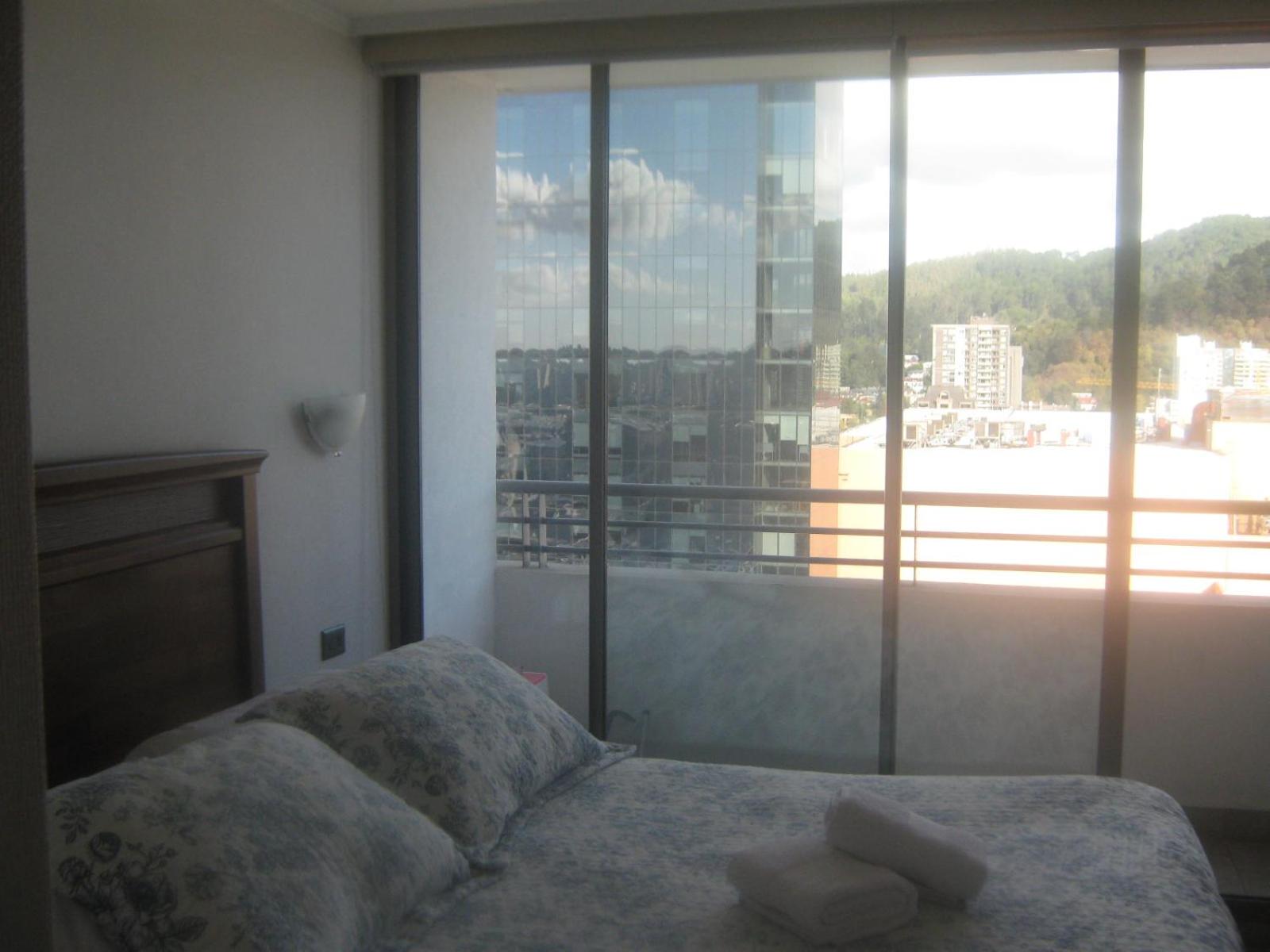 Departamento Freire 1062