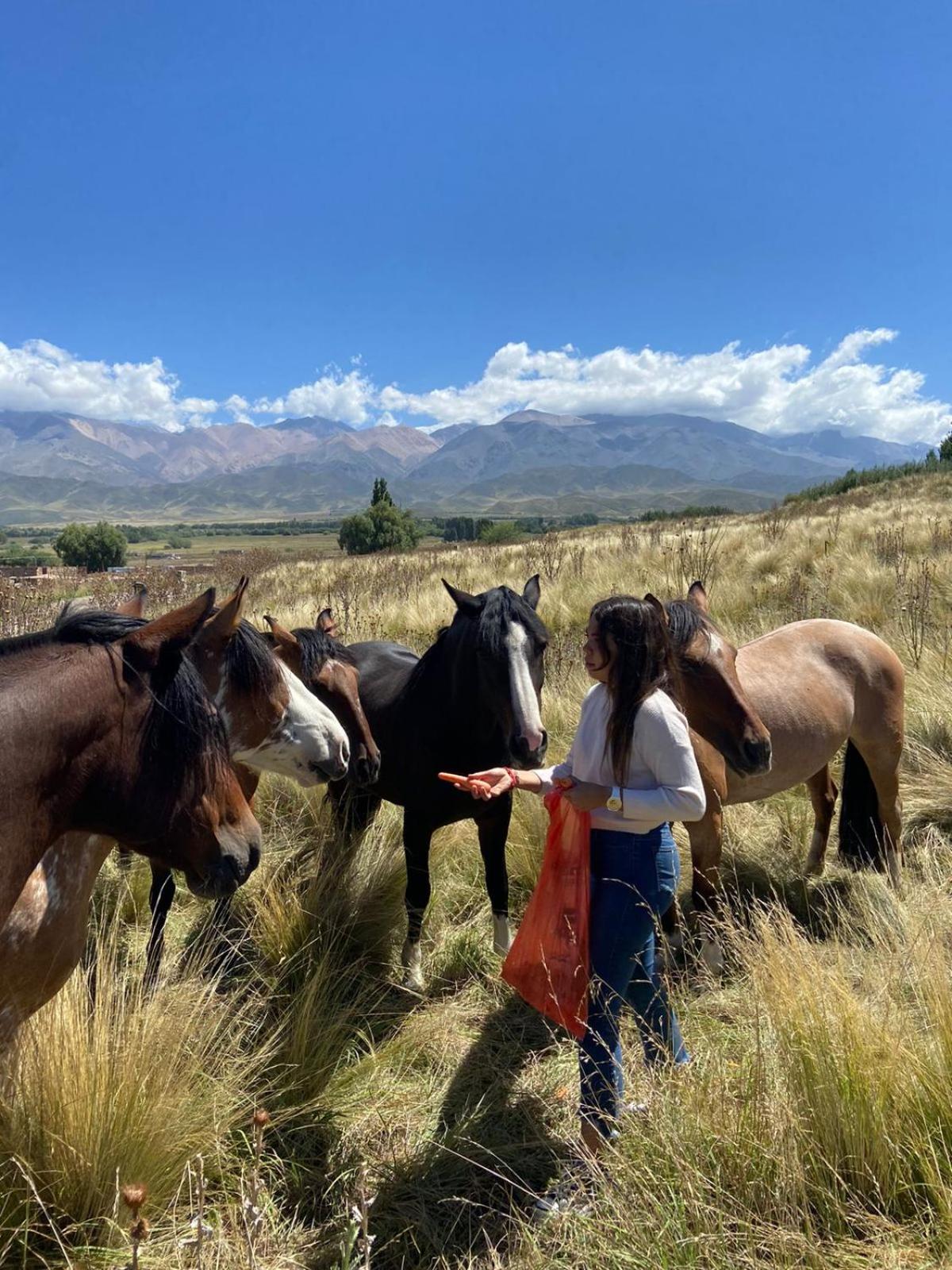 La Carrera Villas, Atamisque. Tupungato, Mendoza.