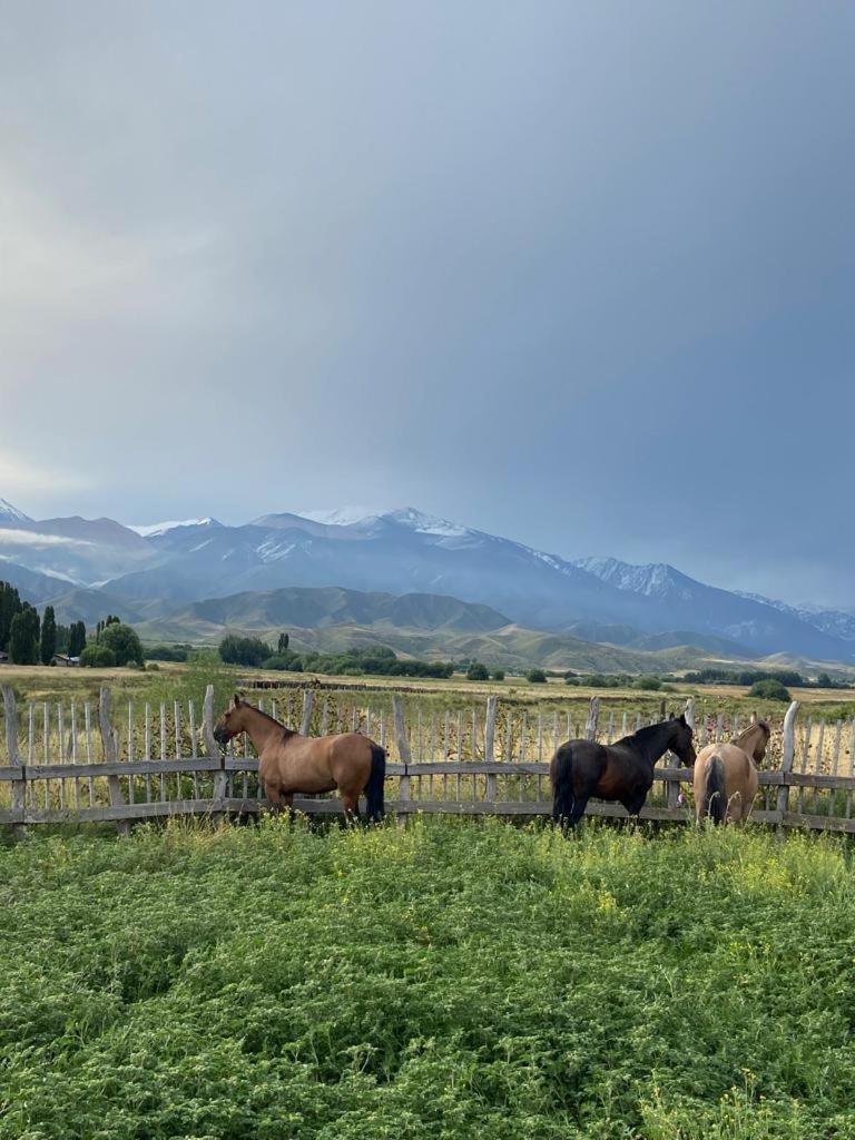 La Carrera Villas, Atamisque. Tupungato, Mendoza.