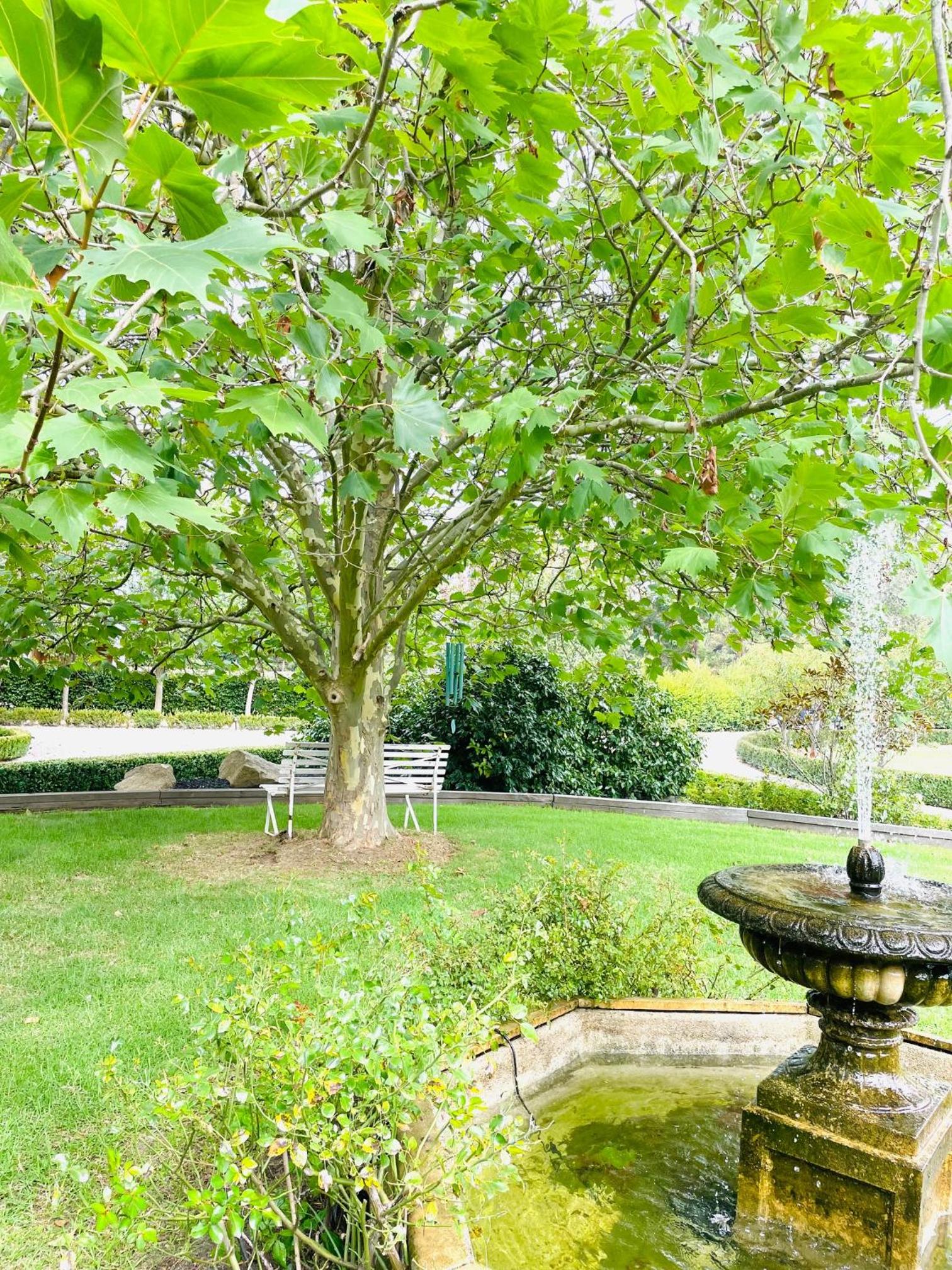 Farm Stay MAPLE Cottage at Wilindi Estate