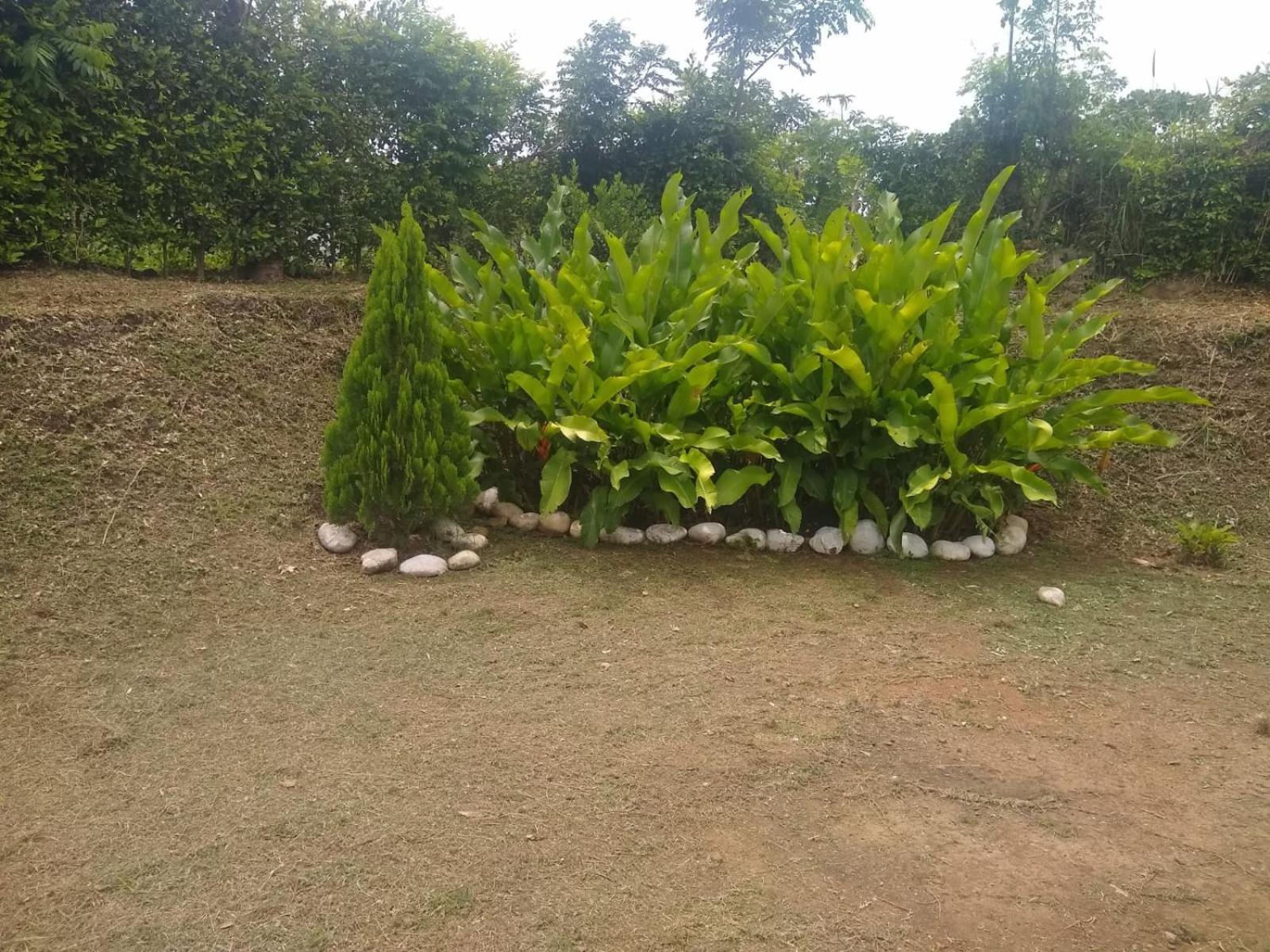 Hostal Sueño Real Campestre