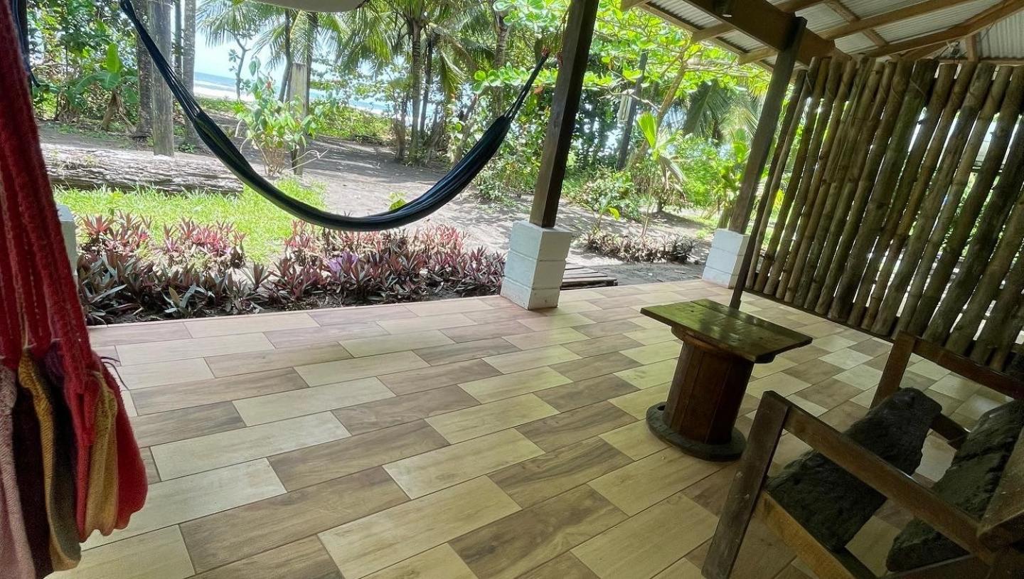 Casa turtle Bogue