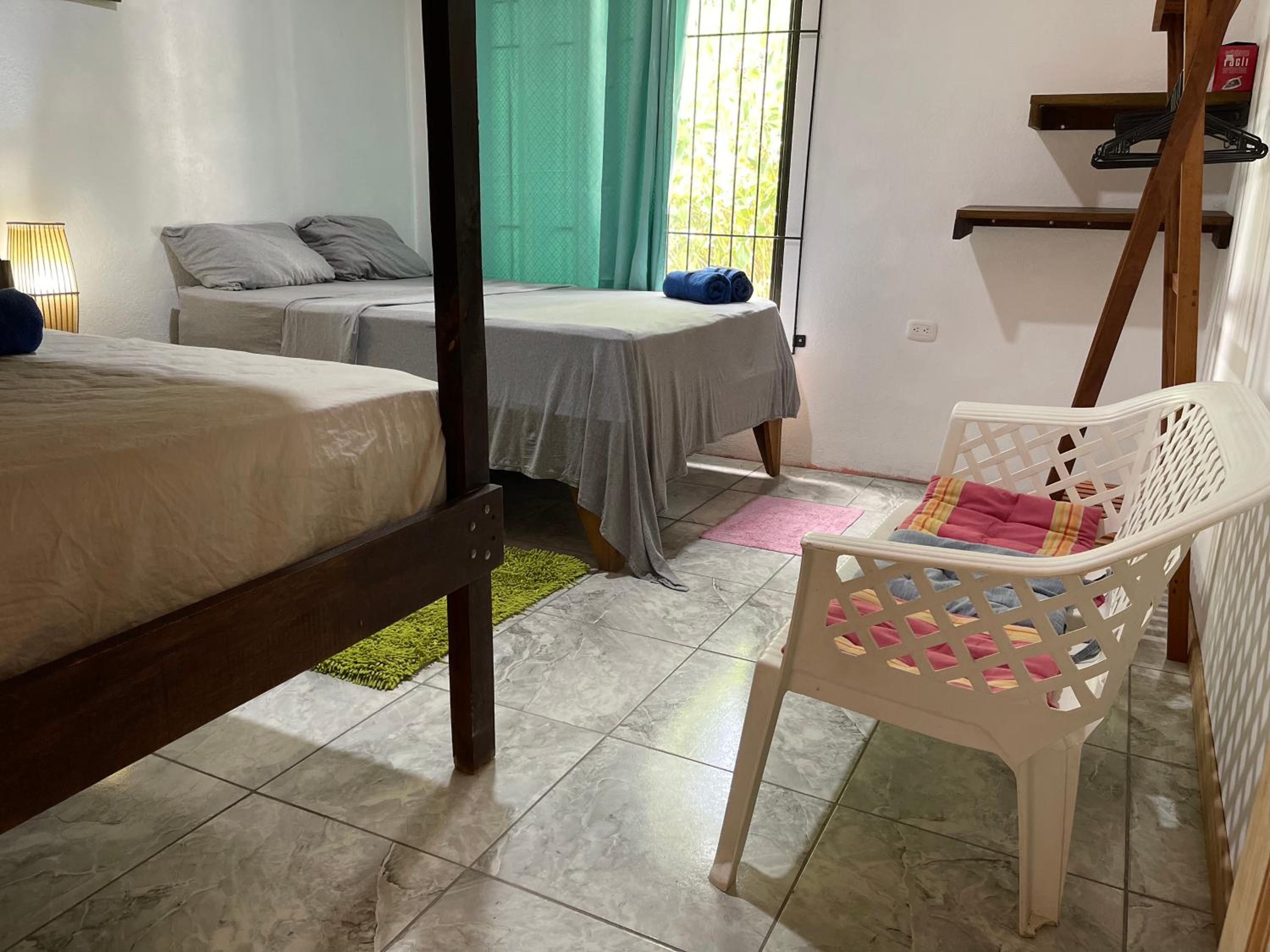 Casa turtle Bogue