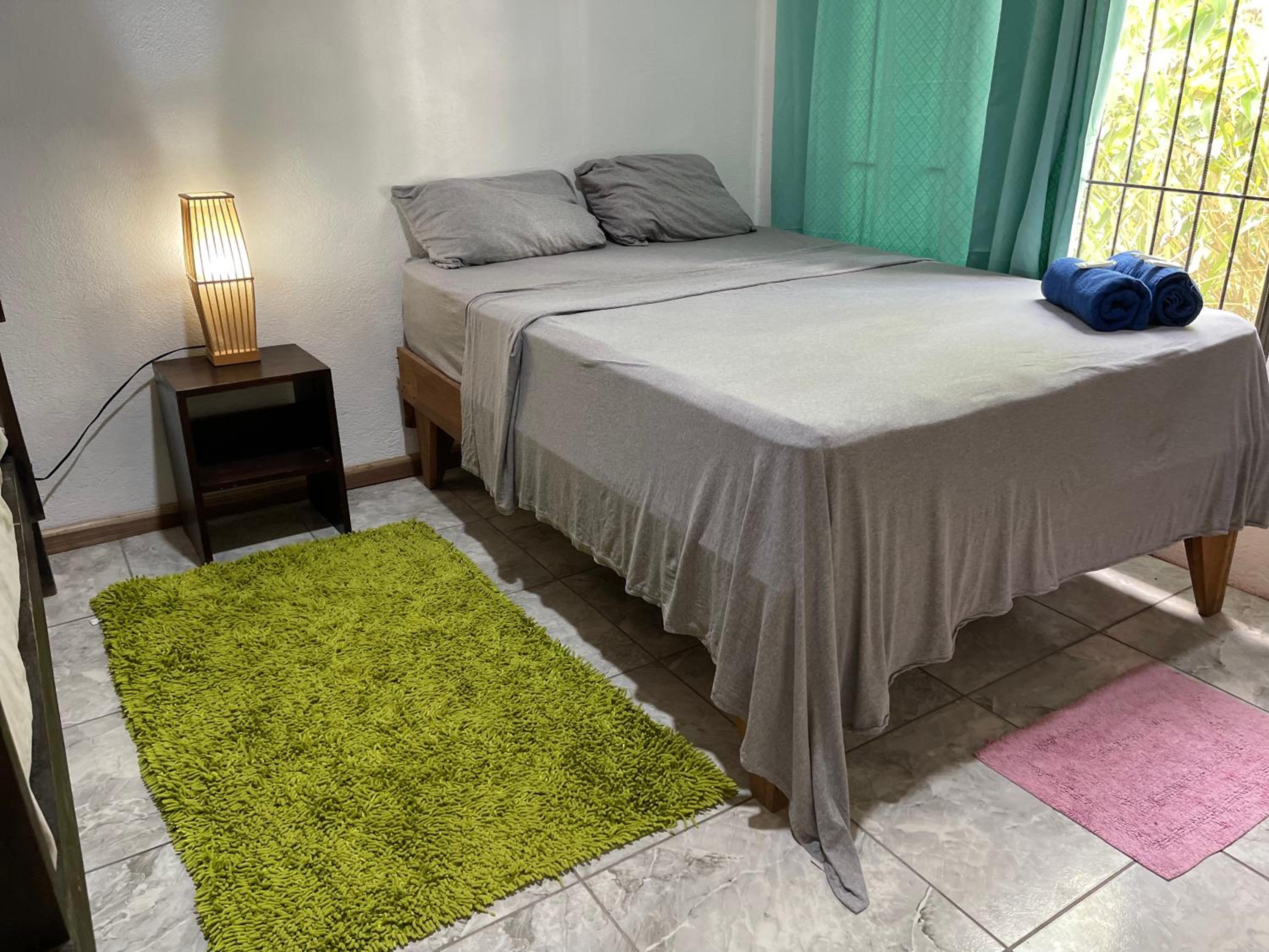 Casa turtle Bogue