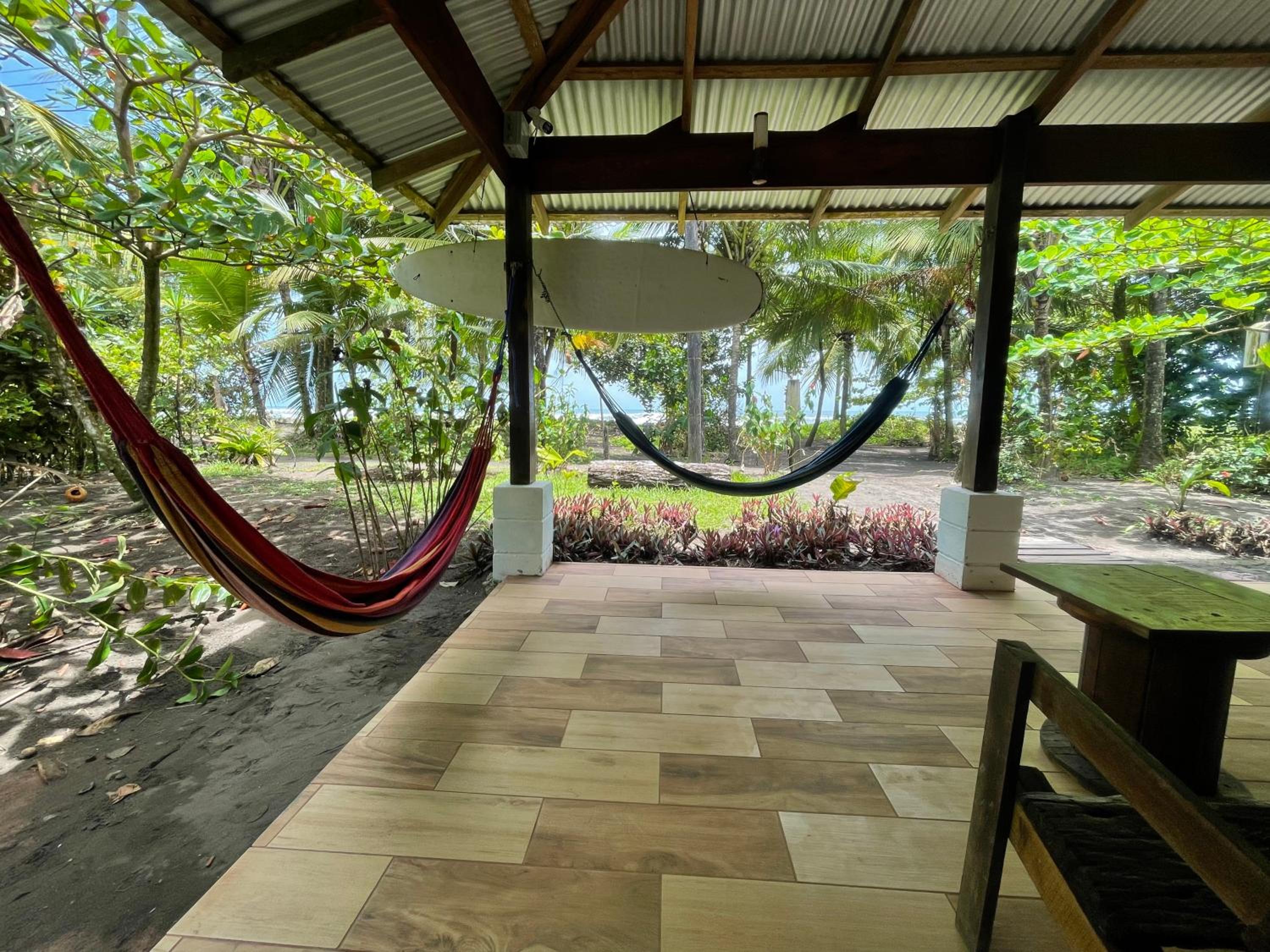 Casa turtle Bogue