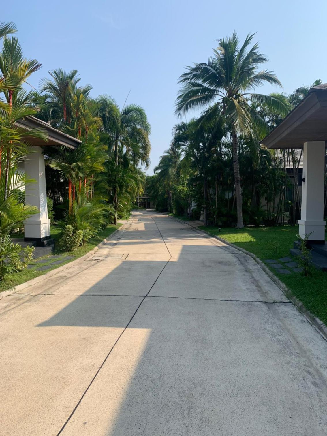 Photo 36
