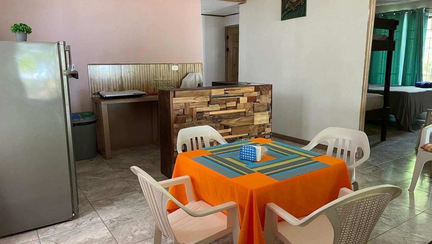 Casa turtle Bogue