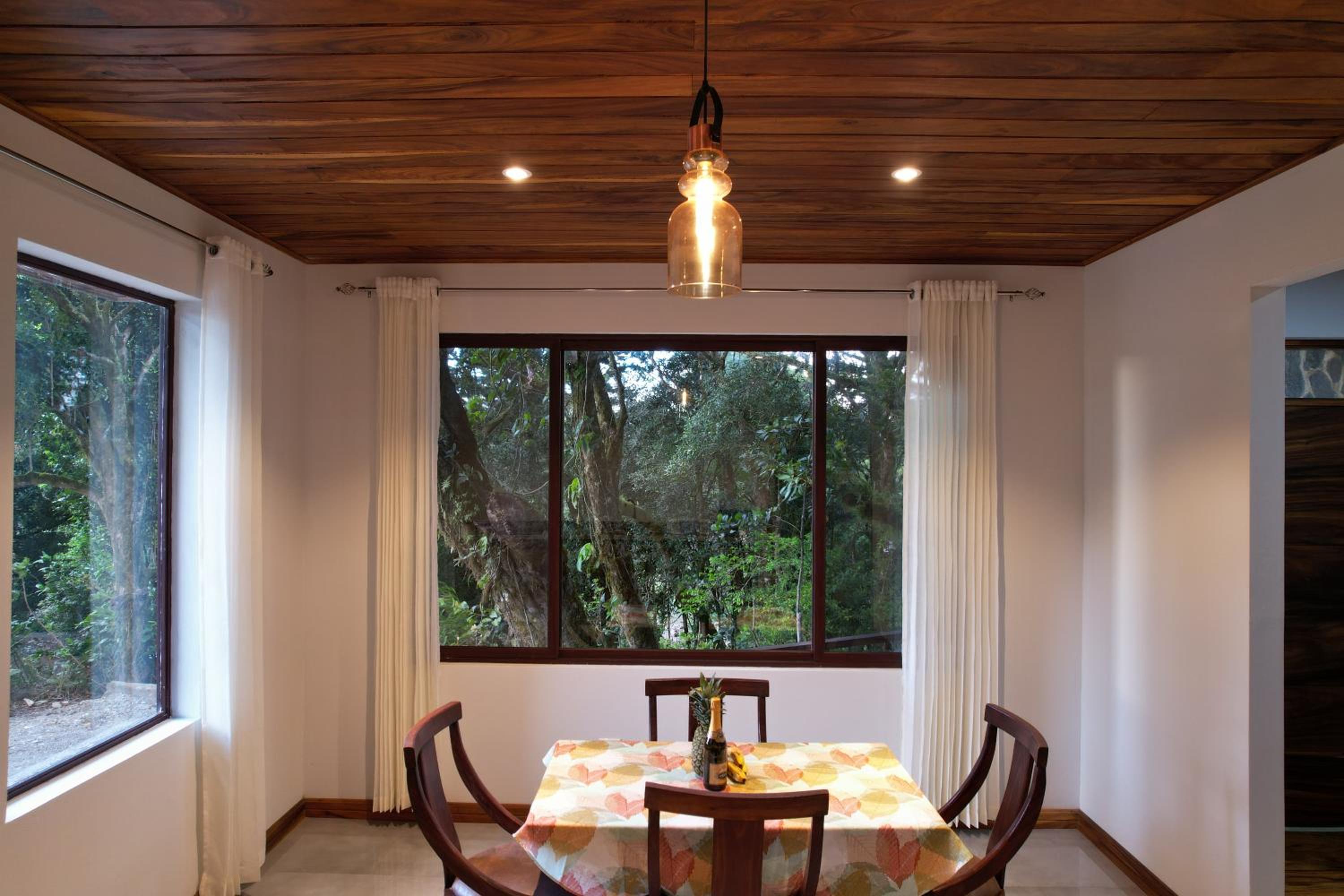 Cougar Monteverde view 5