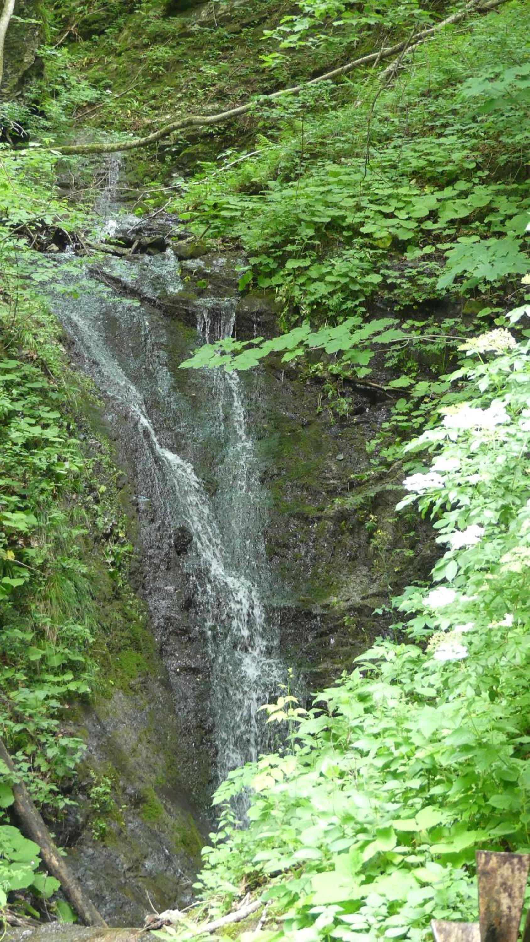 Photo 20
