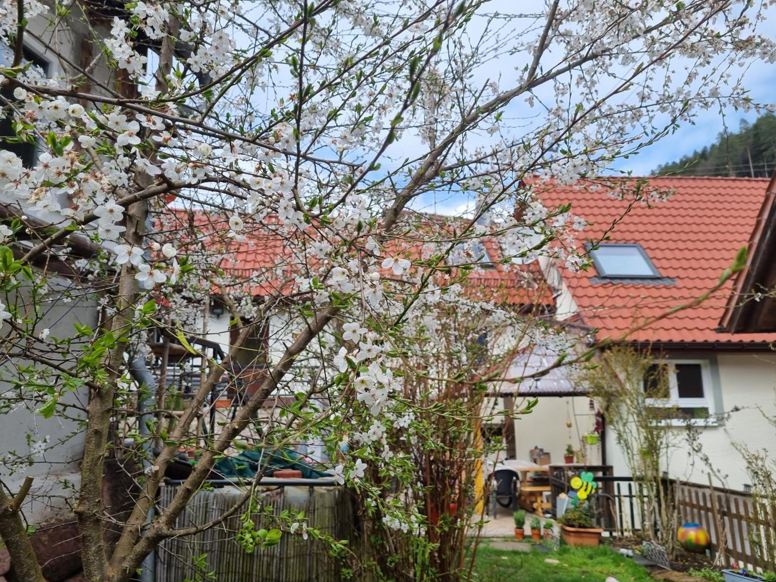 Ferienwohnung TAL-ECK