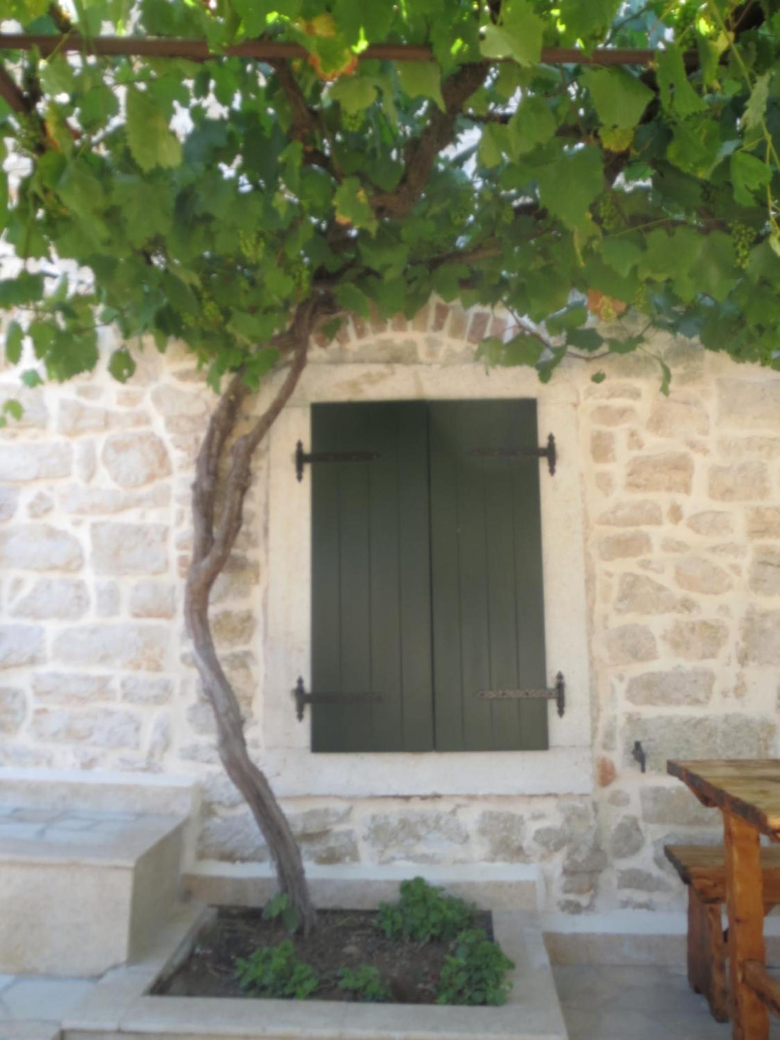Villa zita