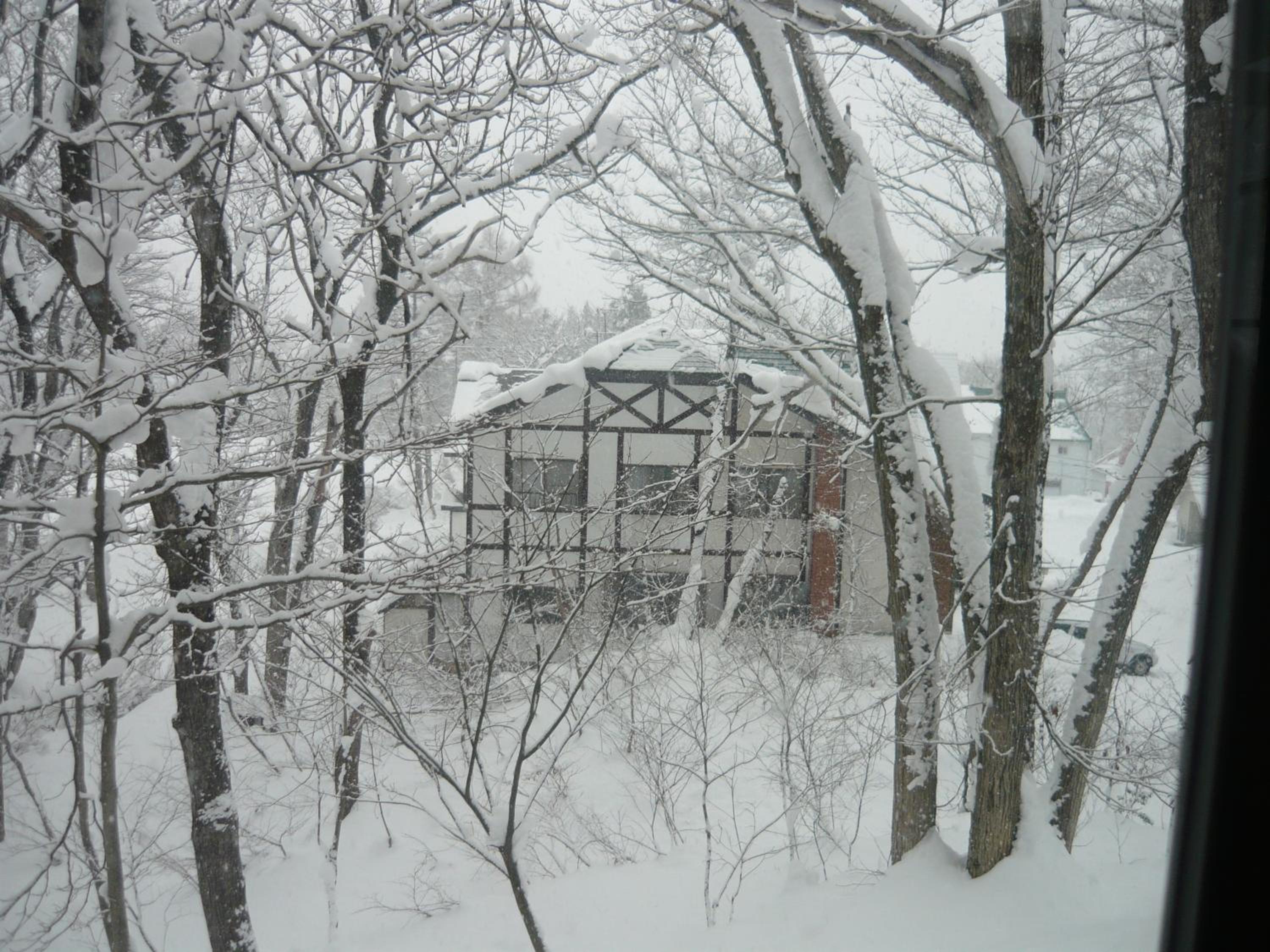 Photo 9