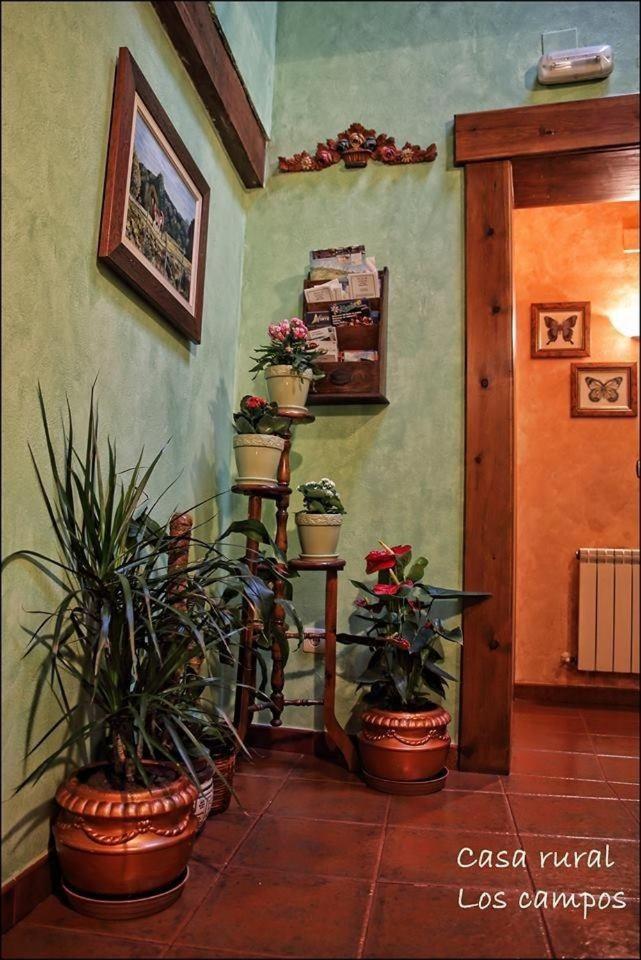 Casa Rural Los campos