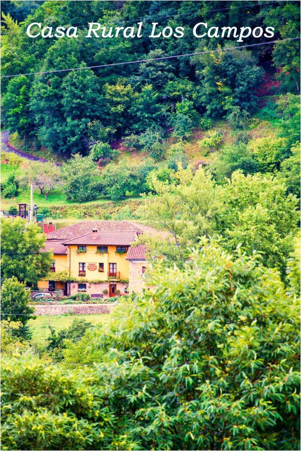 Casa Rural Los campos