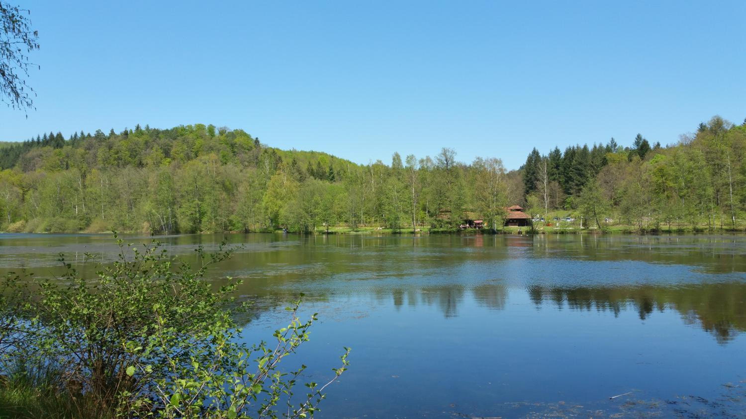 Haus Elsbeere