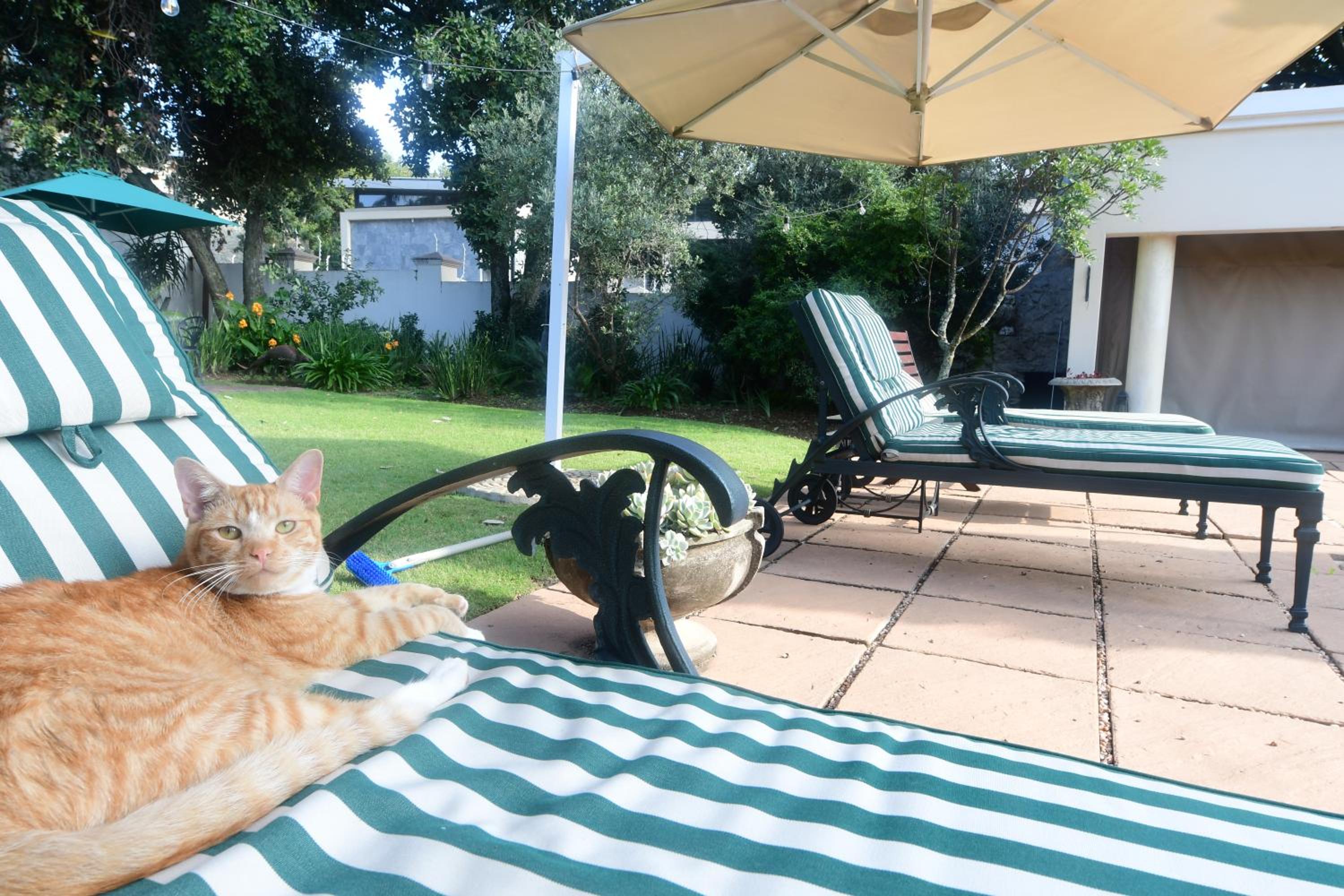 Highgrove Guesthouse Morningside Sandton