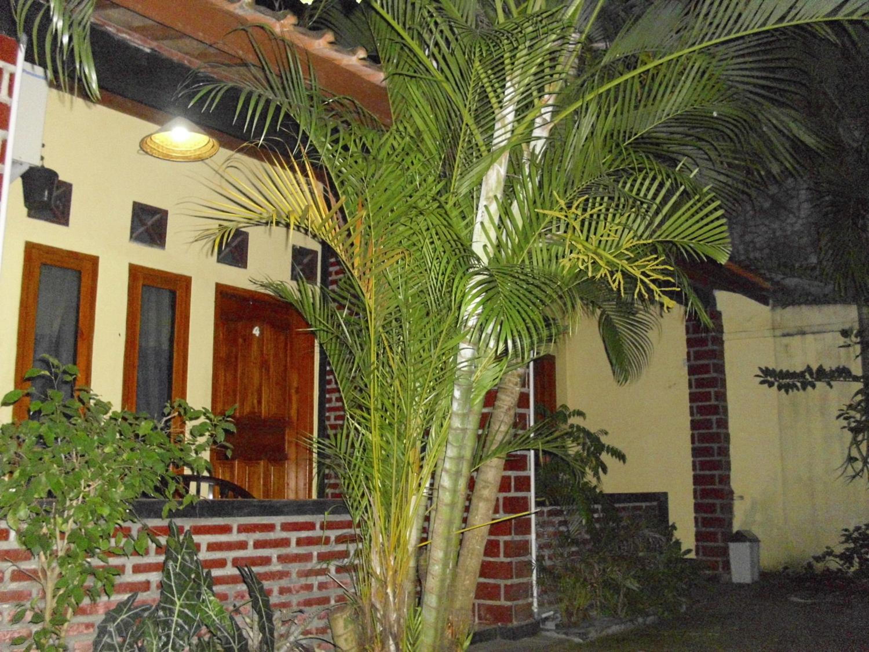 Rinjani Homestay