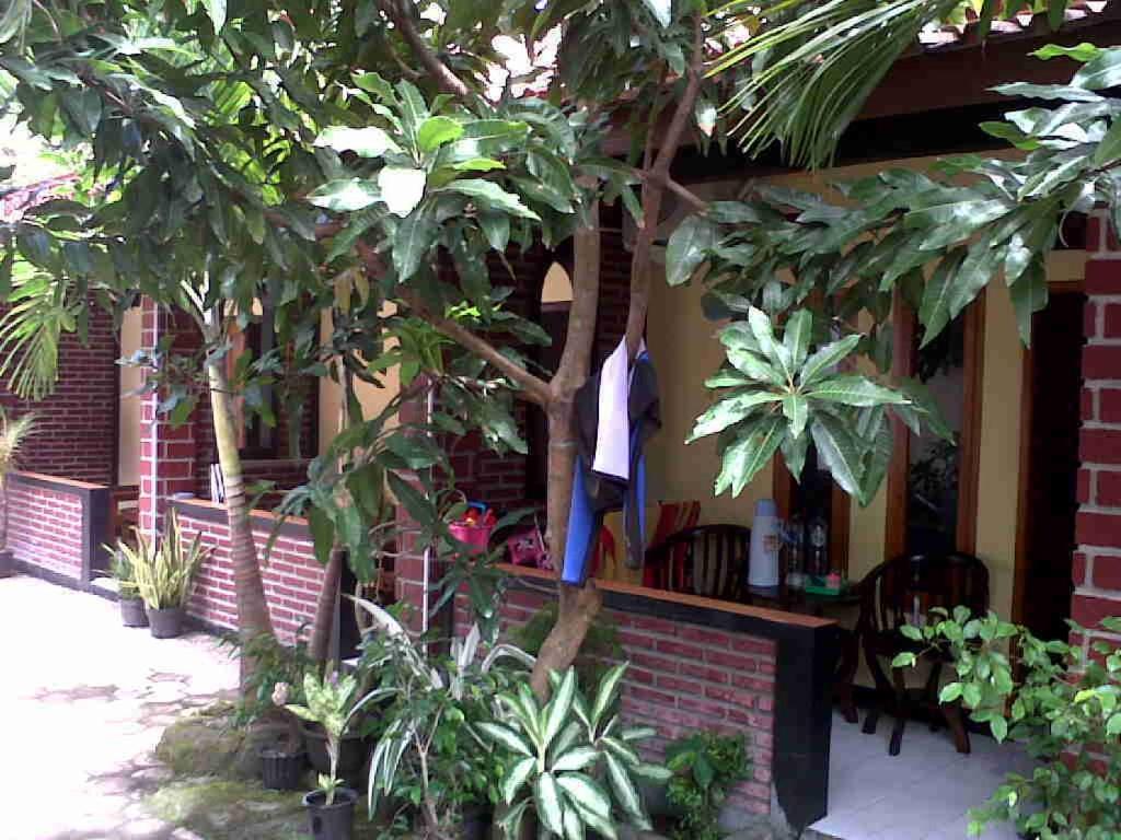 Rinjani Homestay