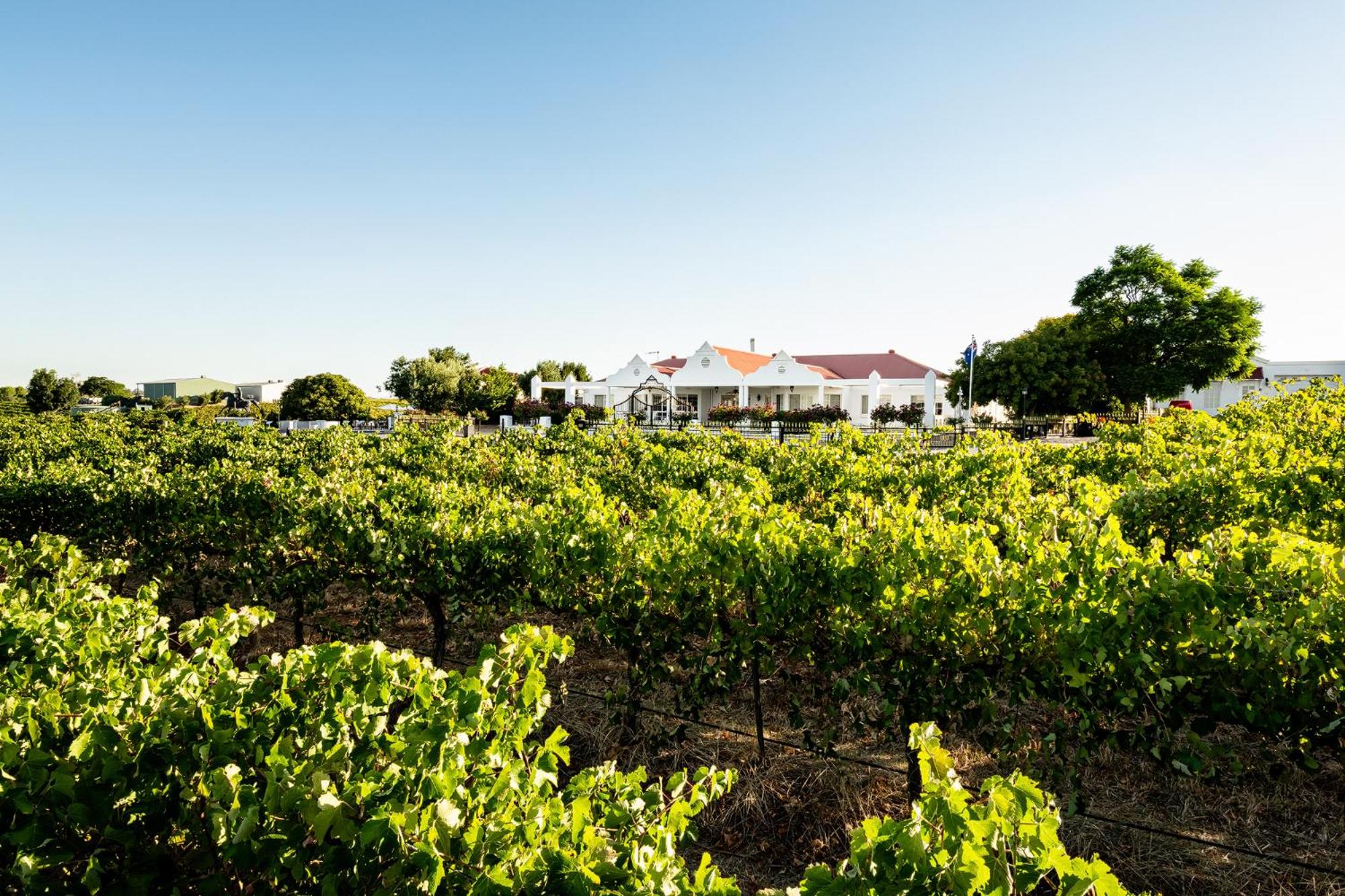 1837 Barossa Luxury Vineyard Cottages