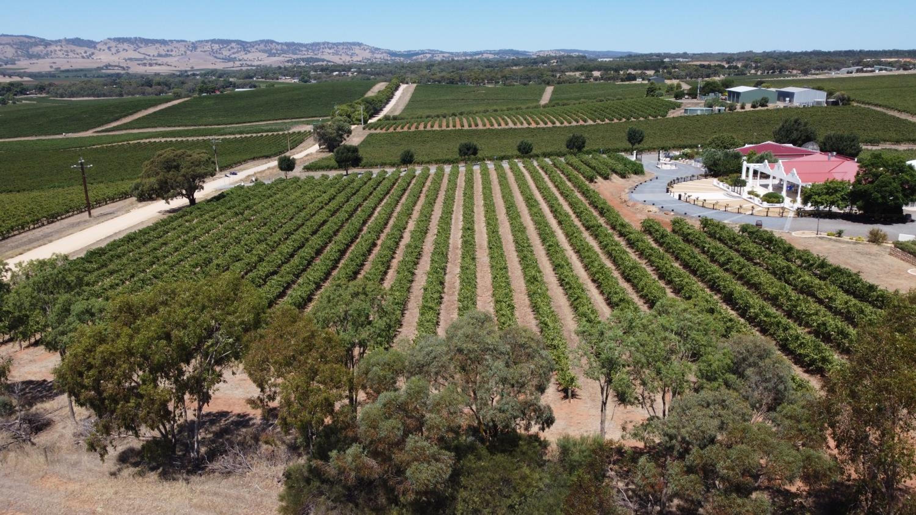 1837 Barossa Luxury Vineyard Cottages
