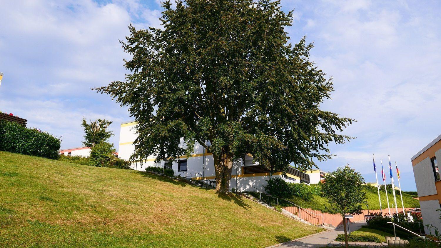Hohes-Ufer-36-Pantke