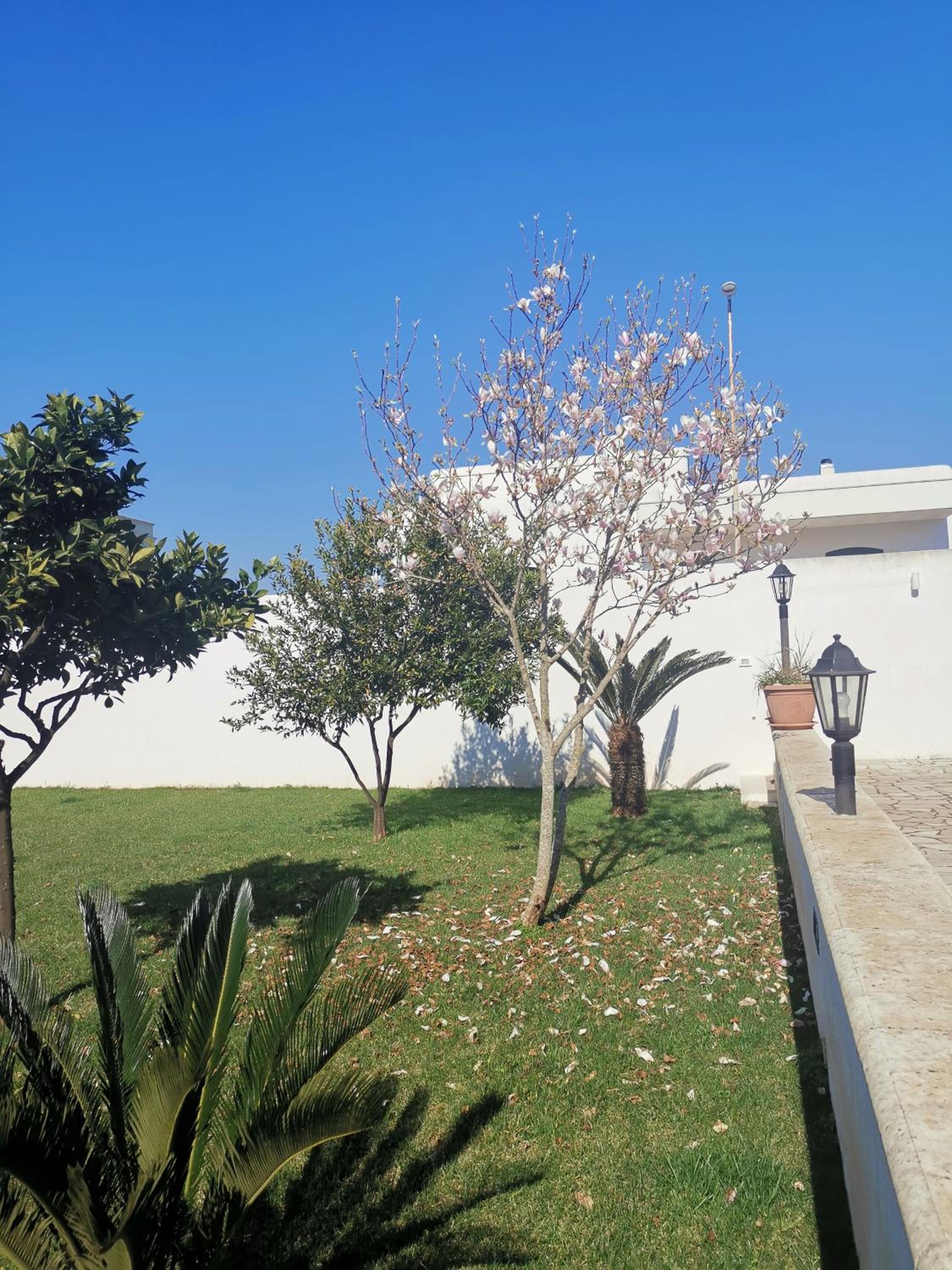 Appartamento Roberti en Corsano — other
