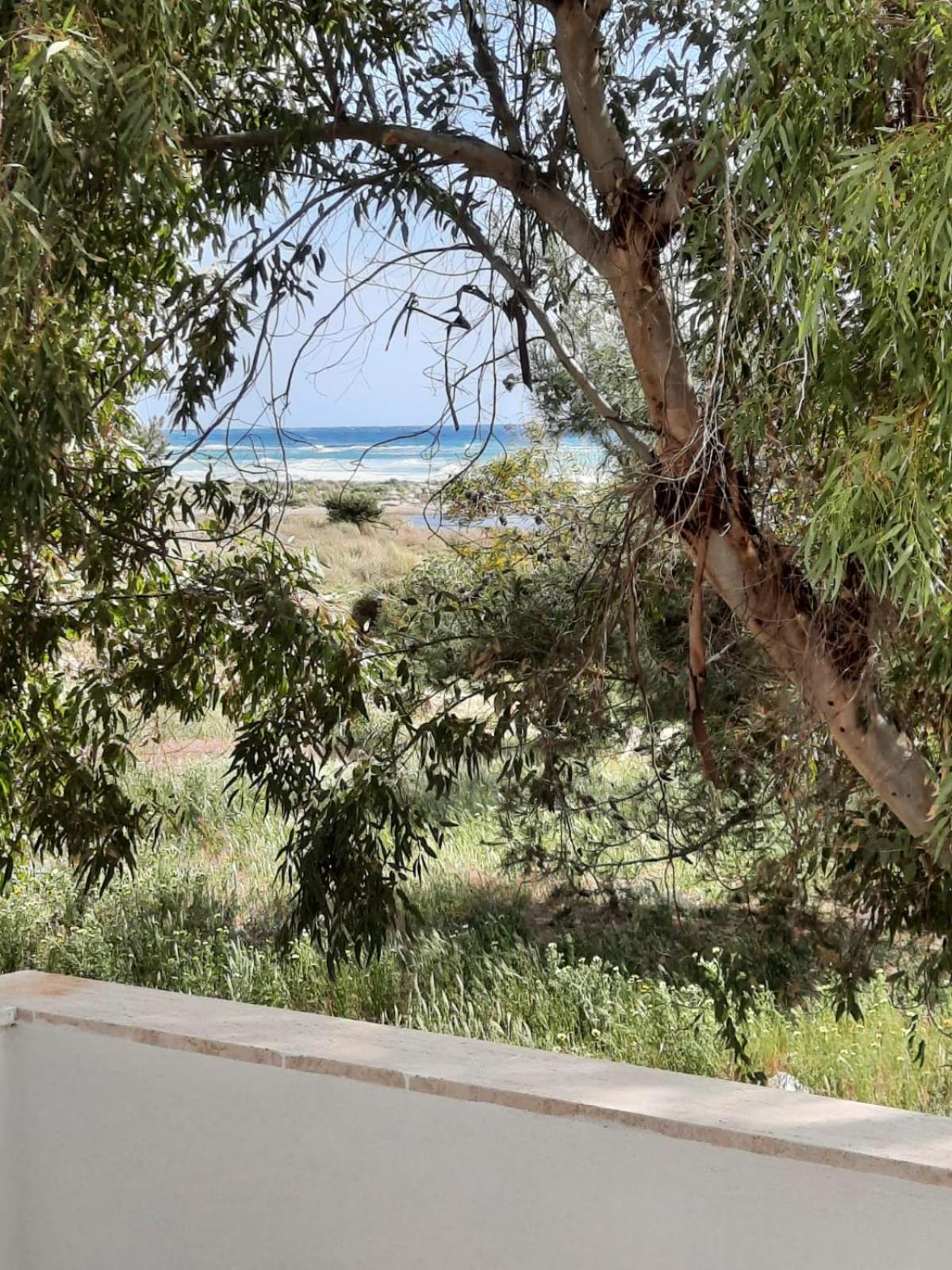 Fronte Mare photo 2