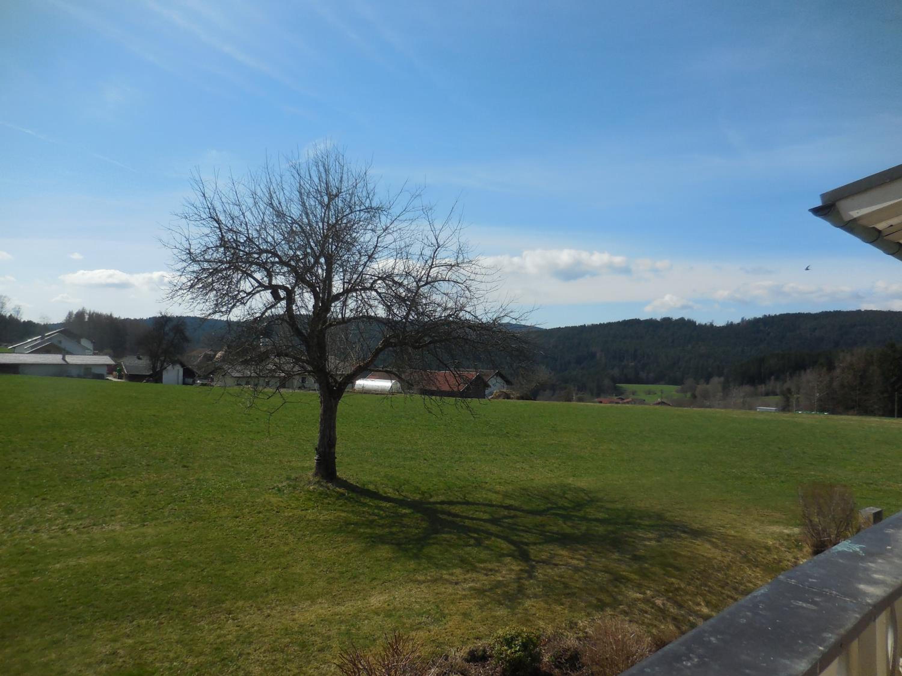 Pension Waldblick