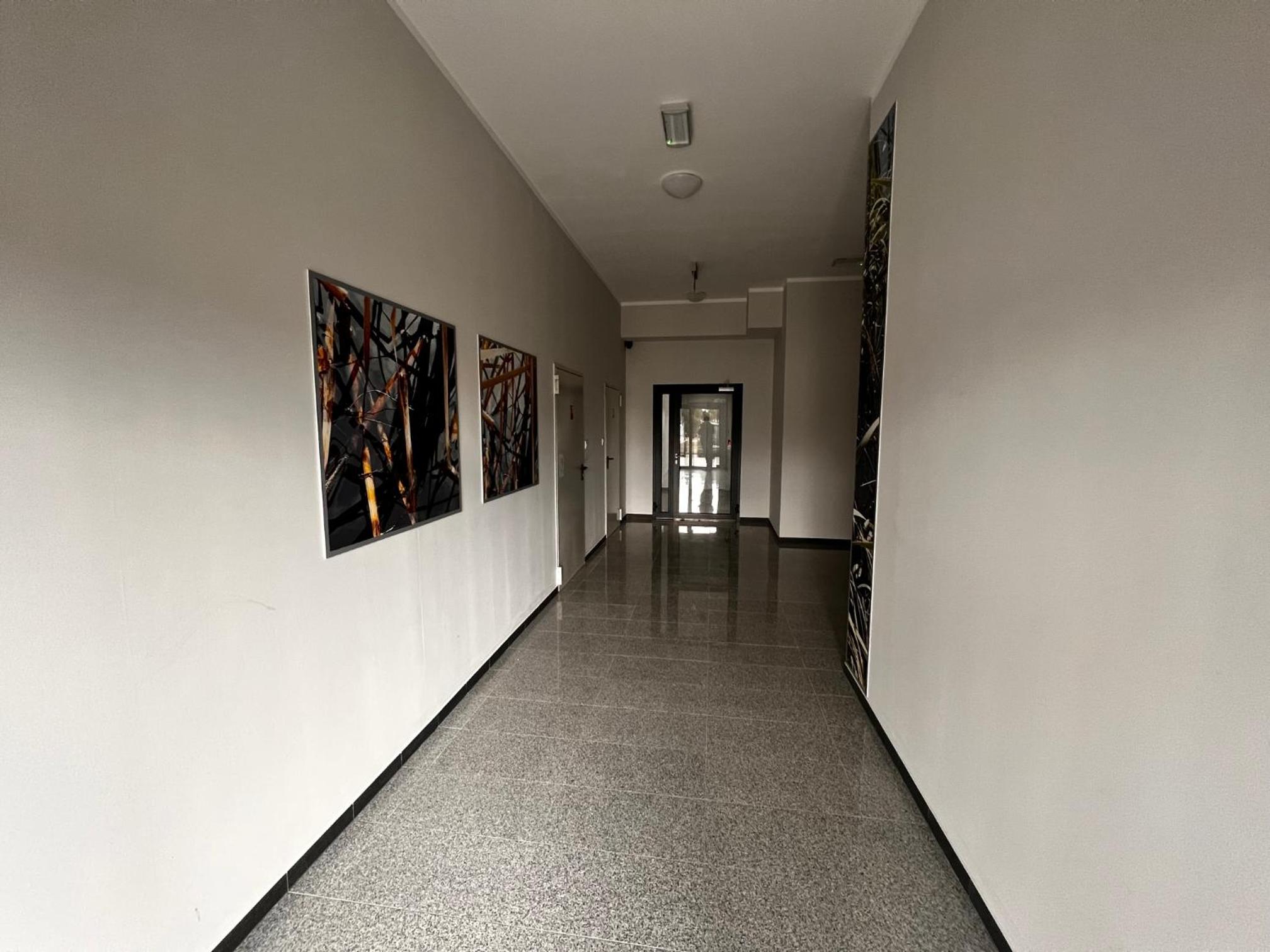 Photo 34