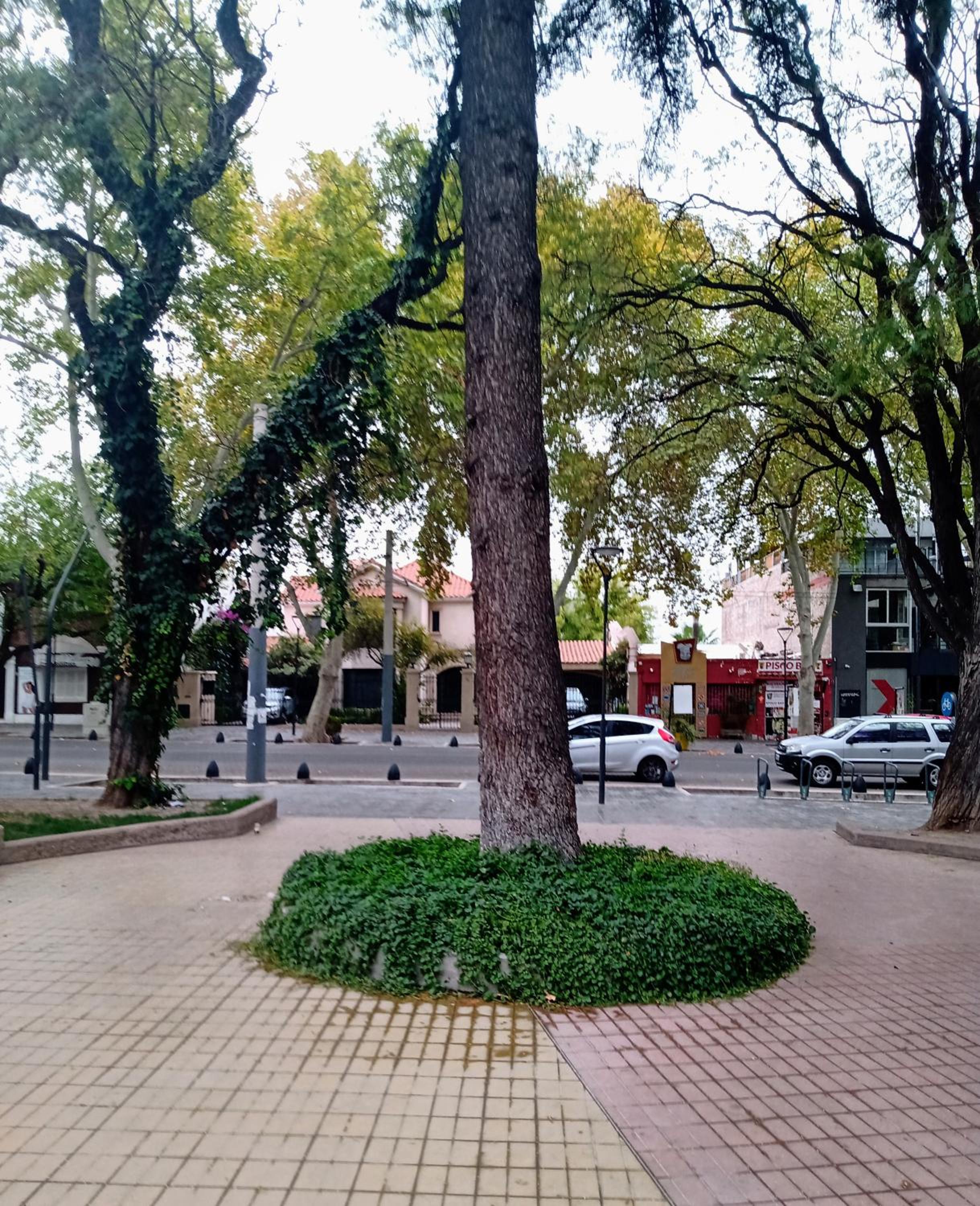 CASA ARISTIDES