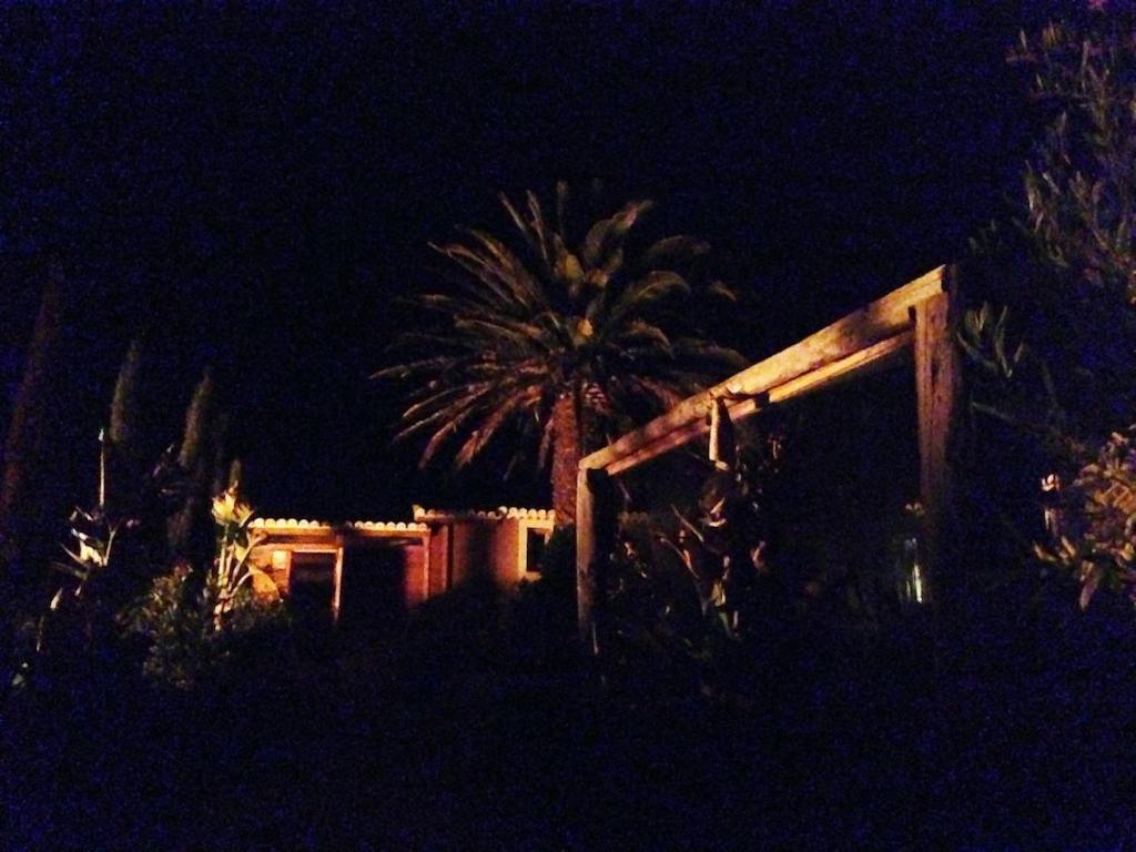 Photo 40