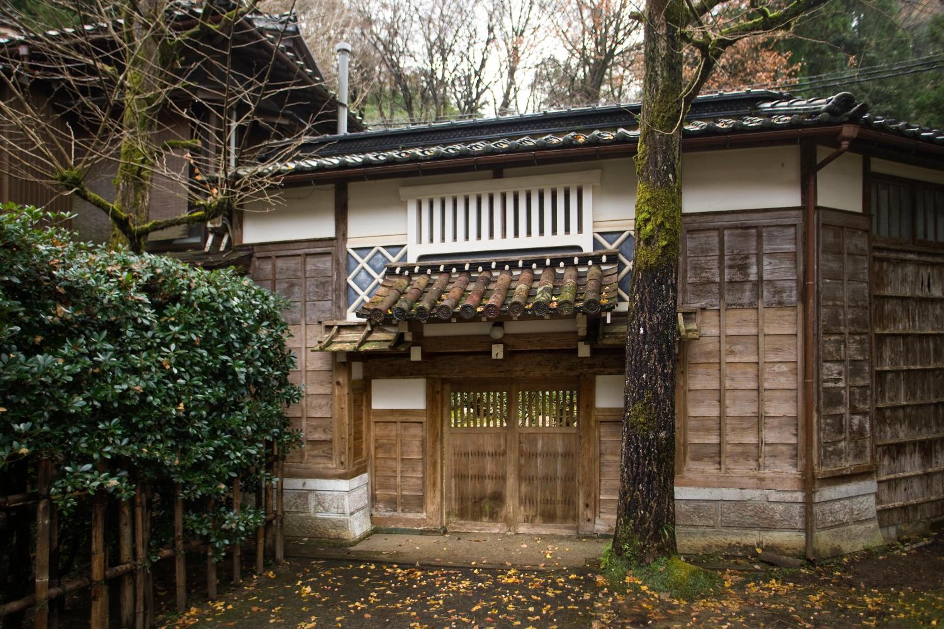 Motoyu Ishiya