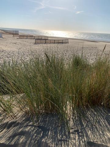 Appartement Nieuwpoort