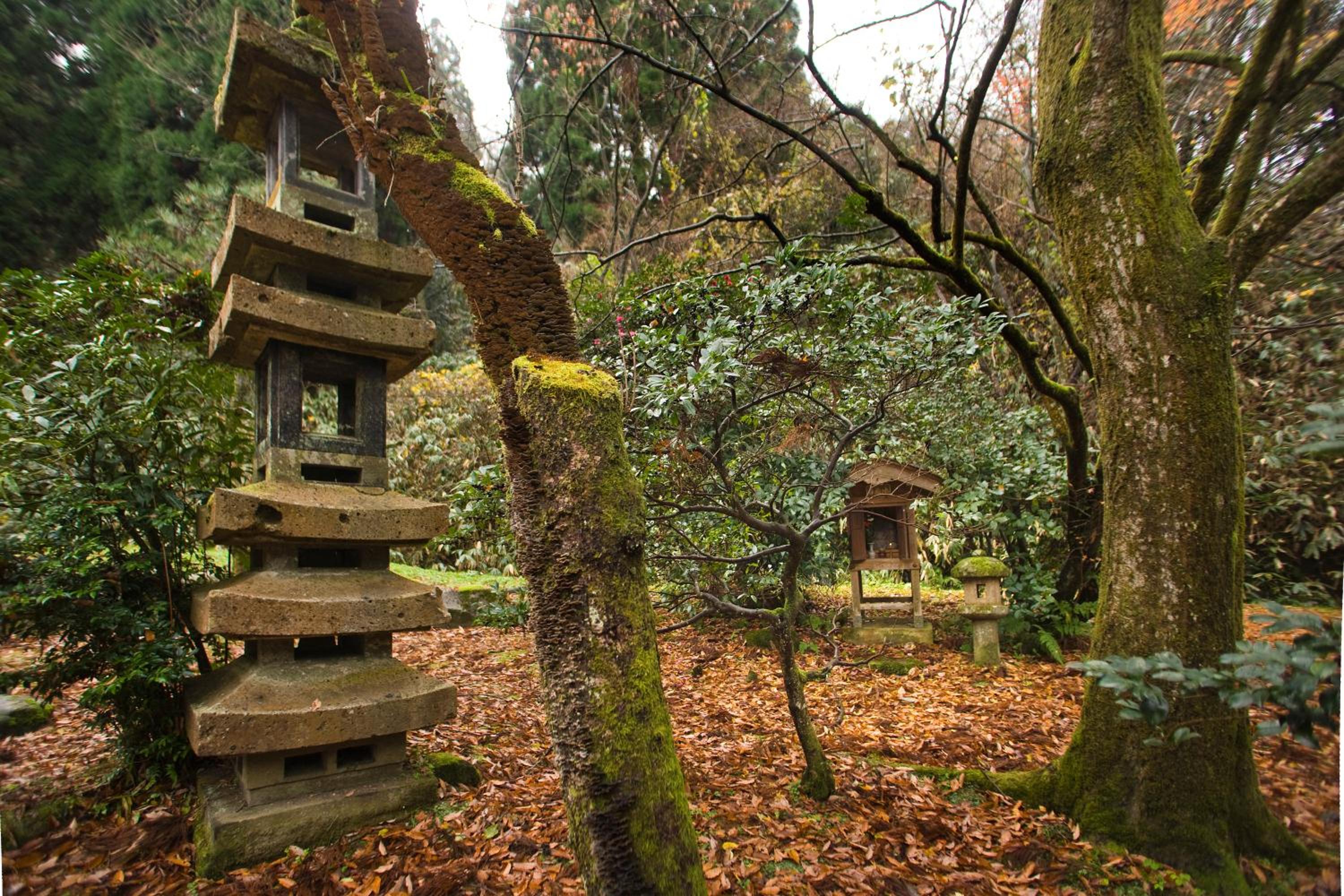 Motoyu Ishiya