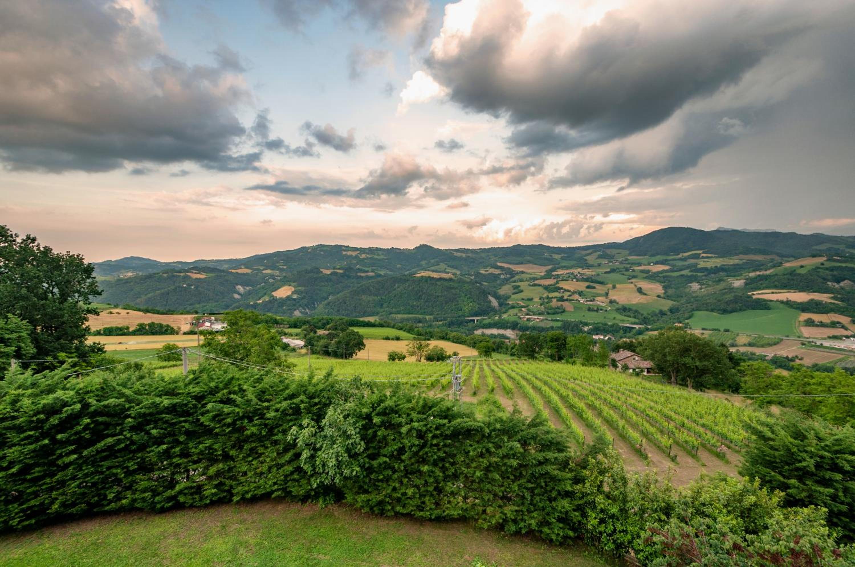 Castello Montesasso