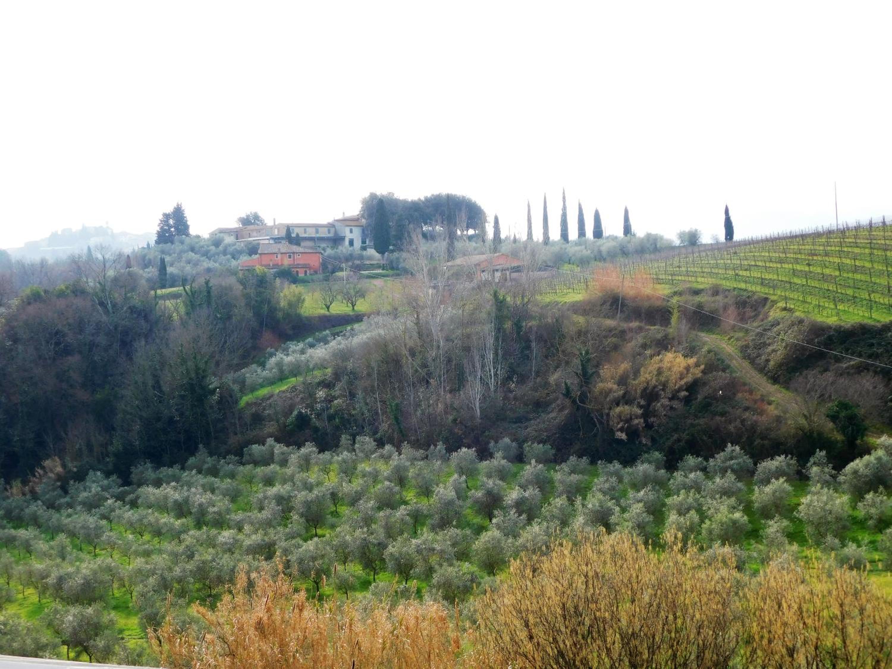 Agriturismo Terre di Toscana