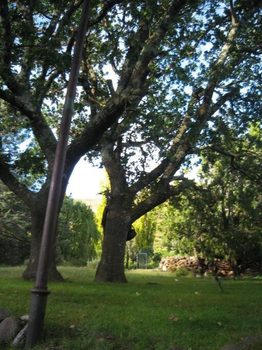 Den Hagen Guest Farm view 4