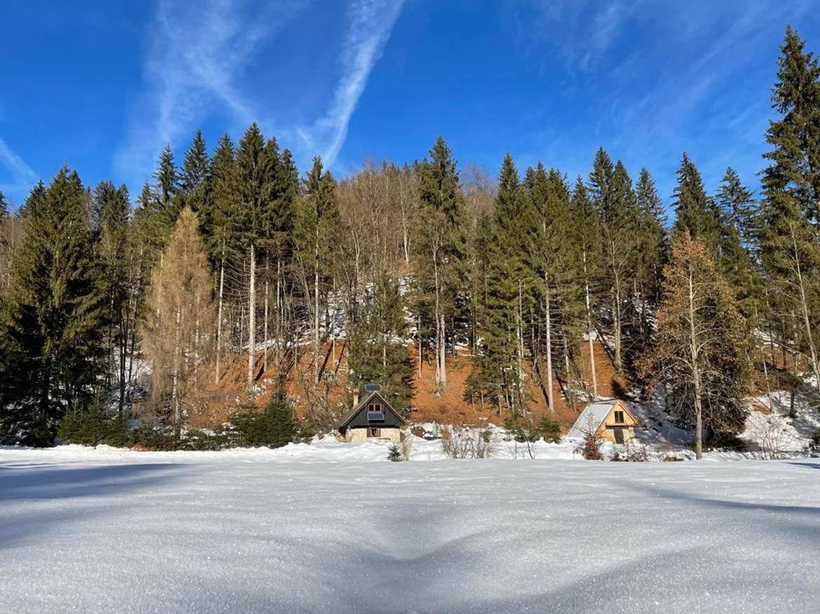 Marko's eco cabin view 2