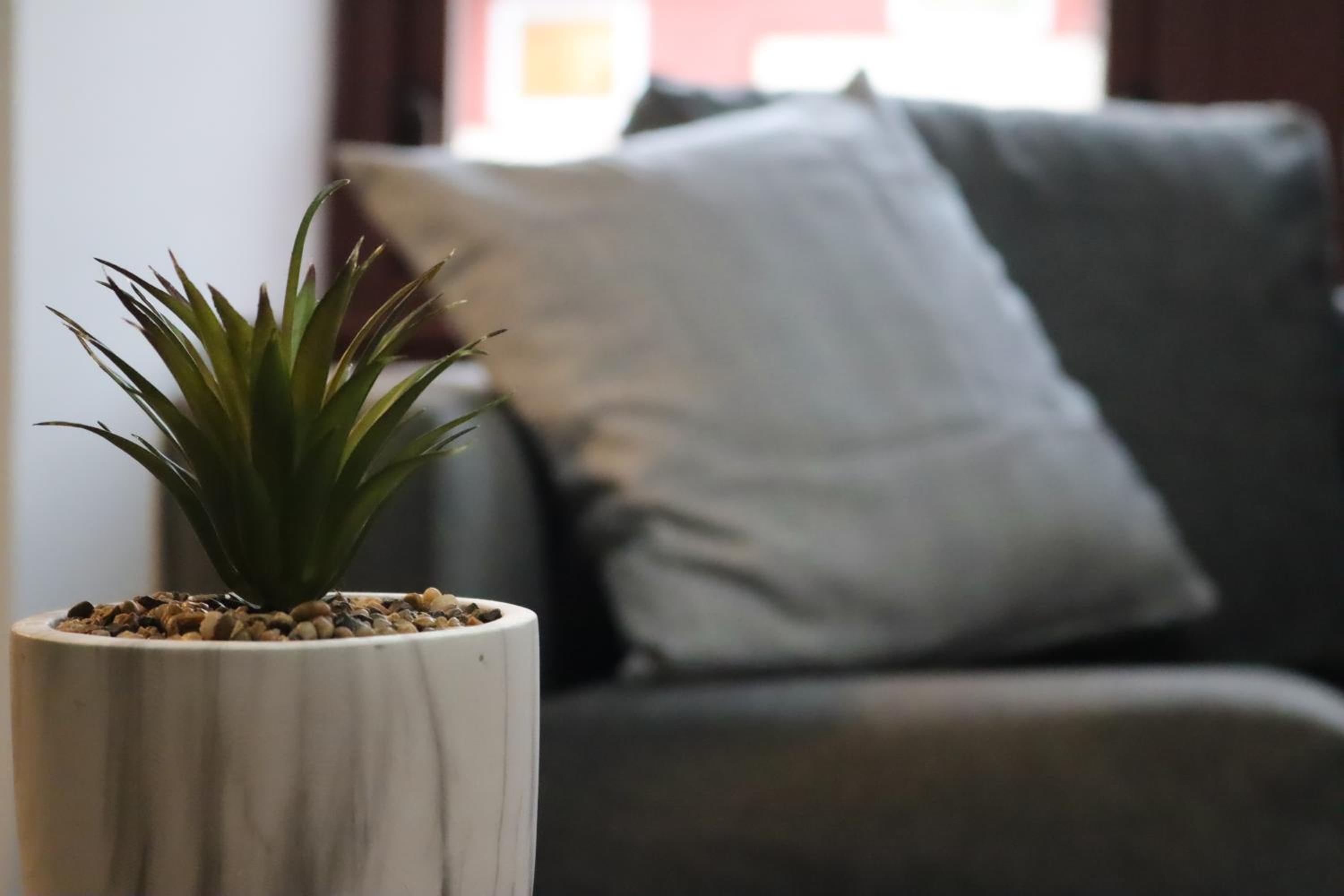 Sonas Apartment Greenock