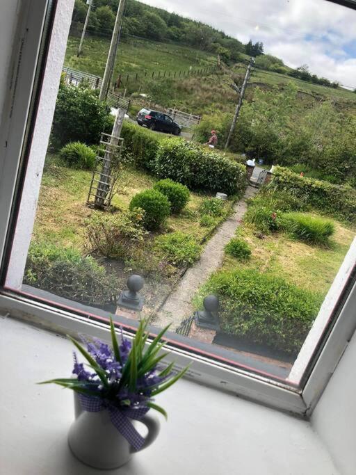 Maggies Cottage view 2