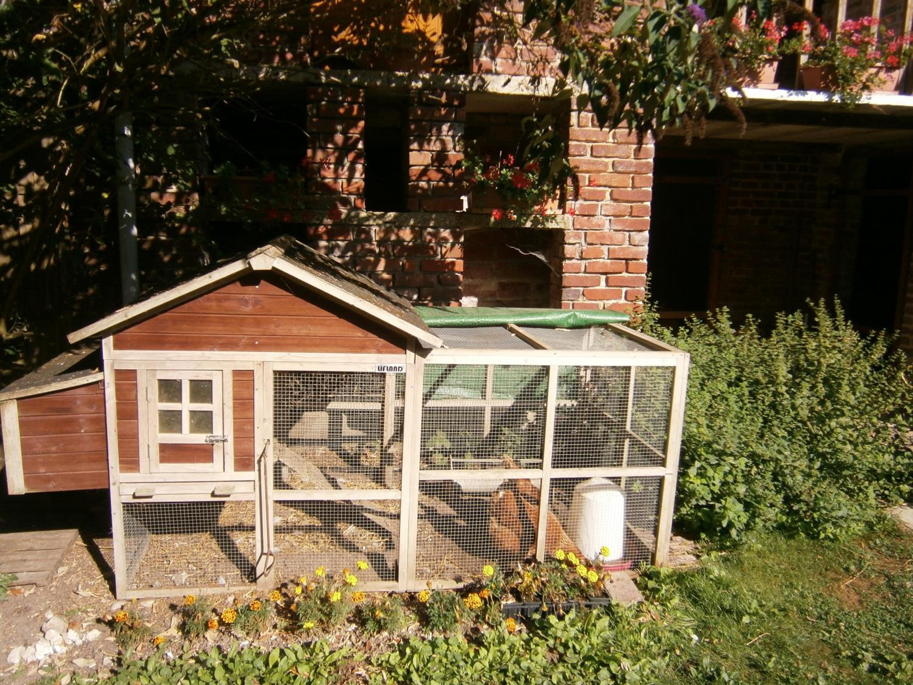 Photo 10