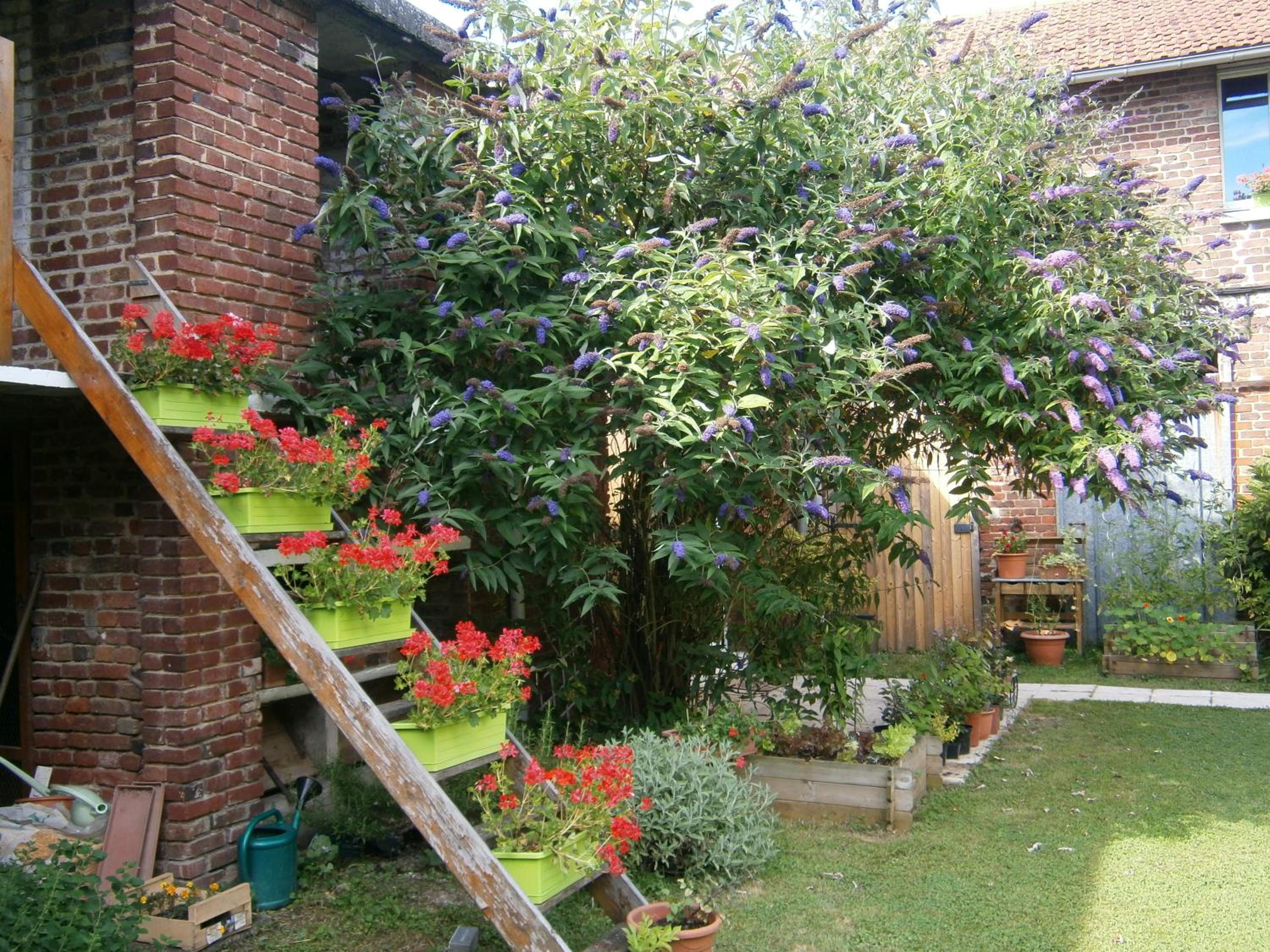 Photo 13