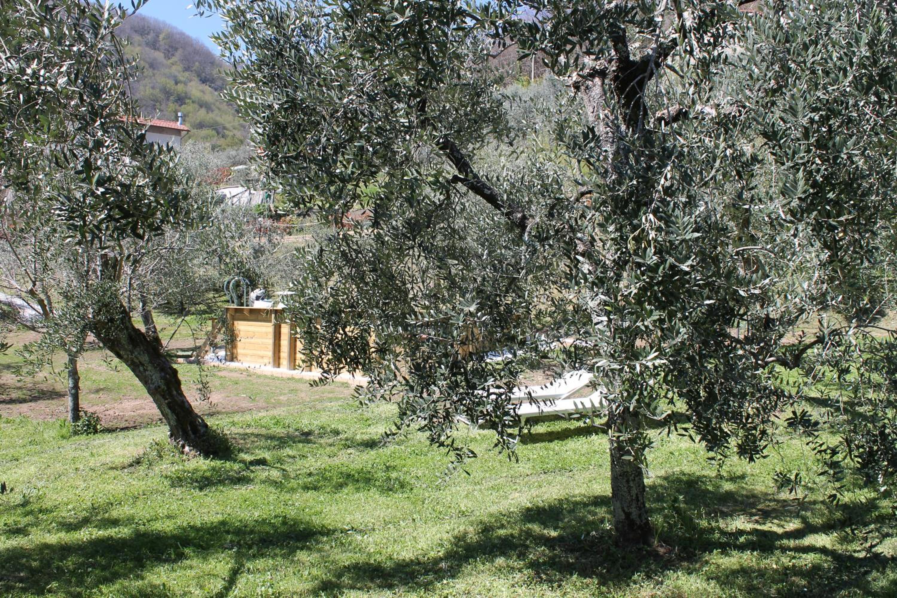 Photo 32