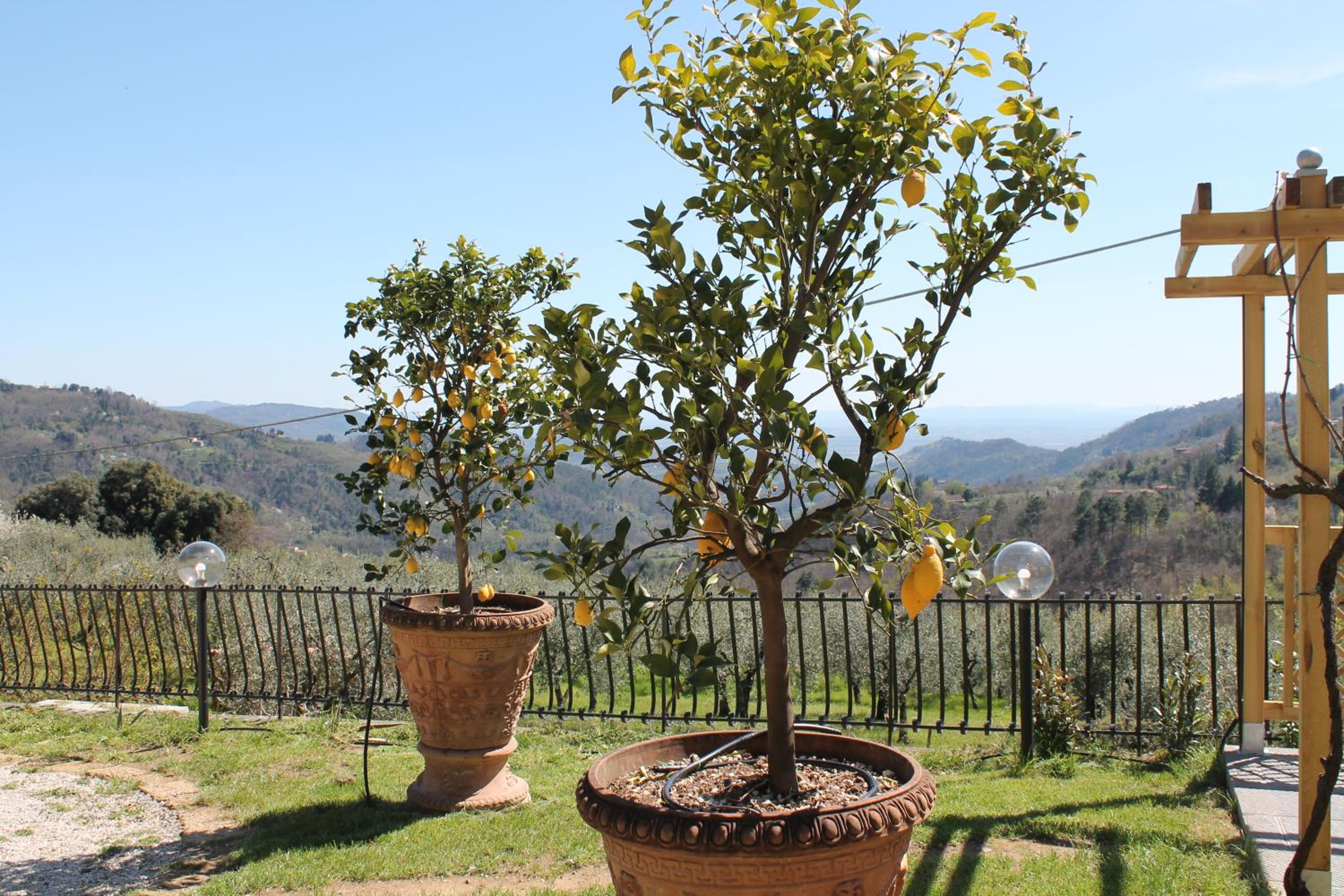 ShaLeo Holiday Home view 4