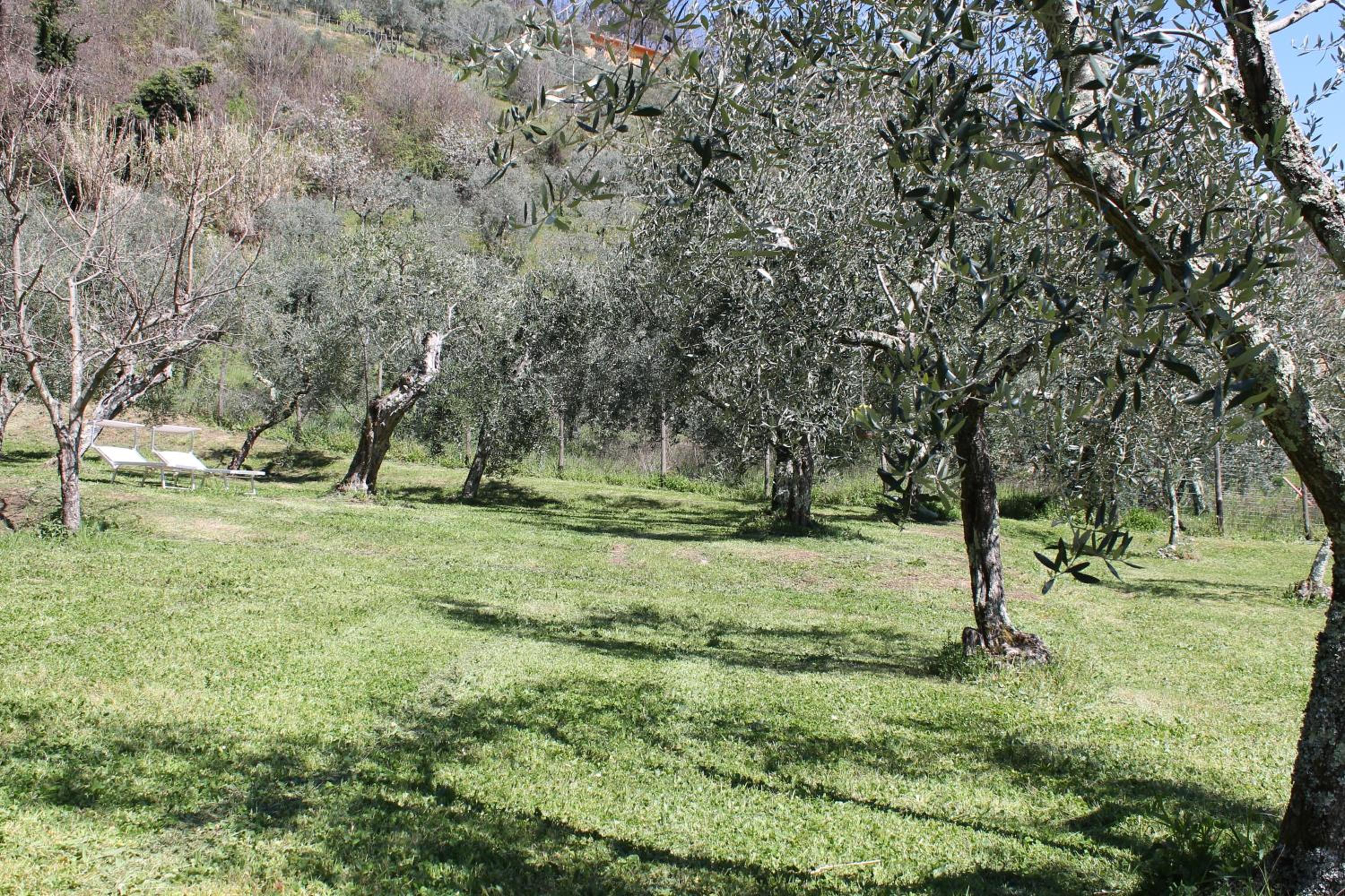 Photo 42