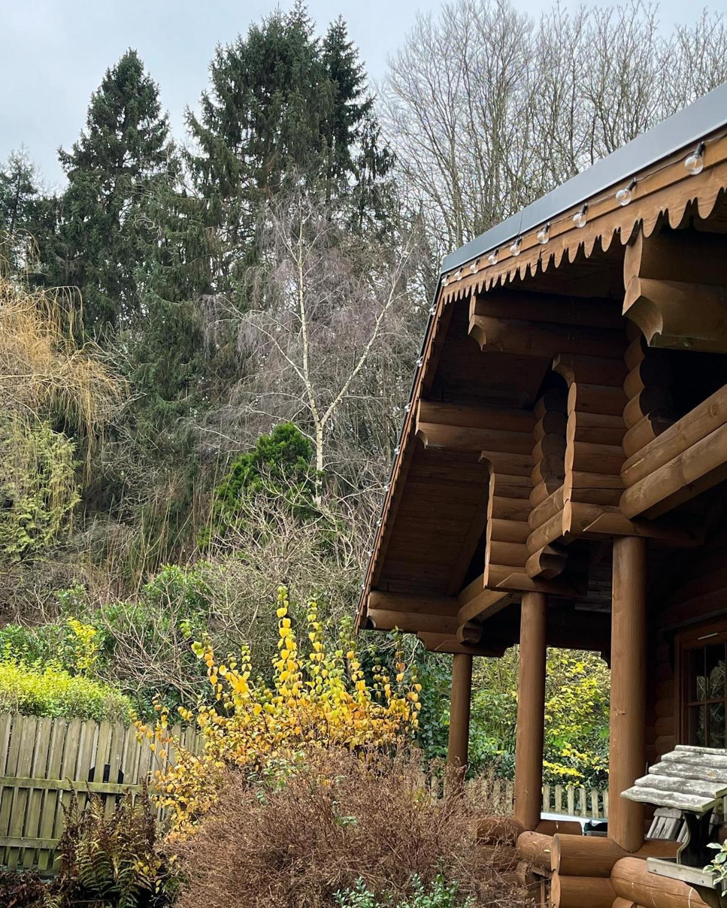 Countryside Log Cabin With Hot Tub - Beech view 5