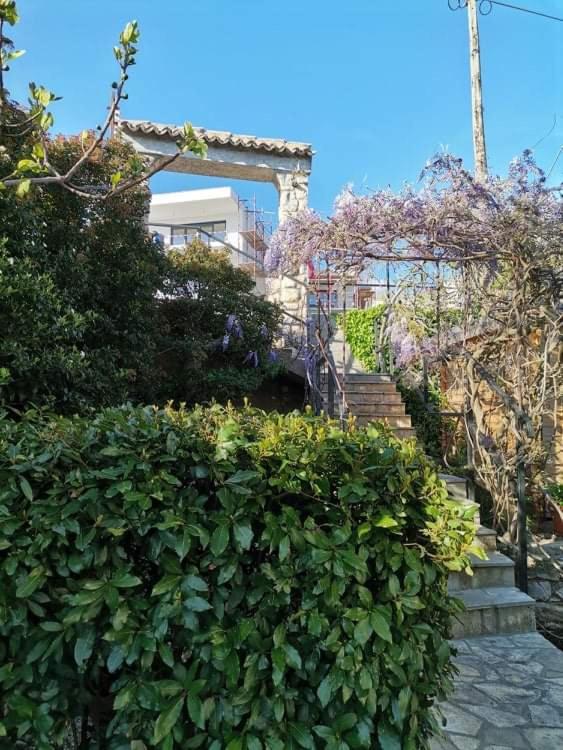 Guest House Sunce