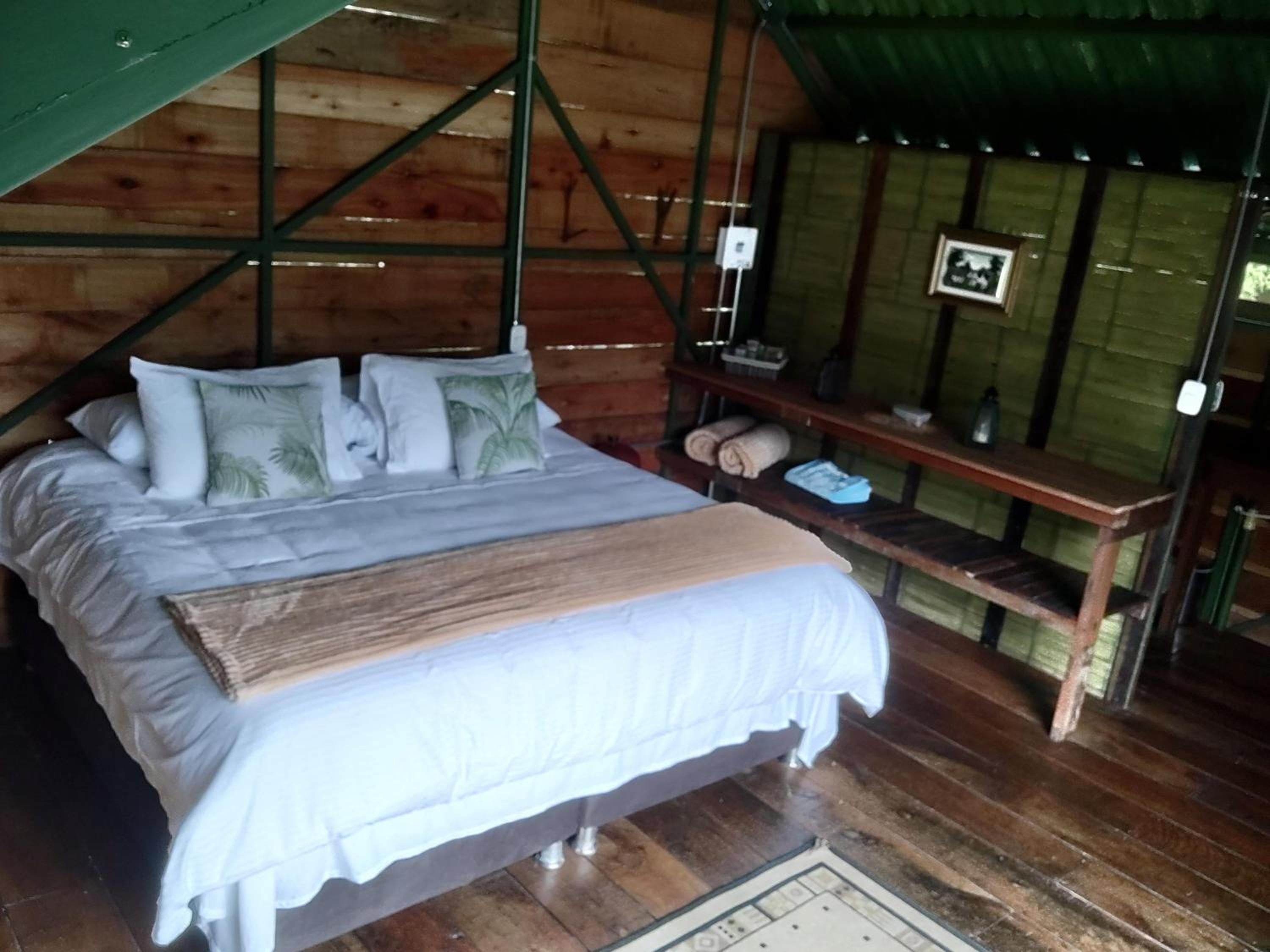 Ecohotel Pinohermoso Reserva Natural view 2