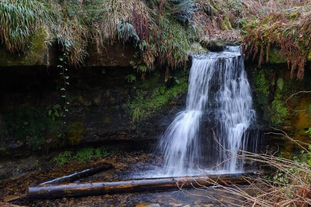 Photo 27